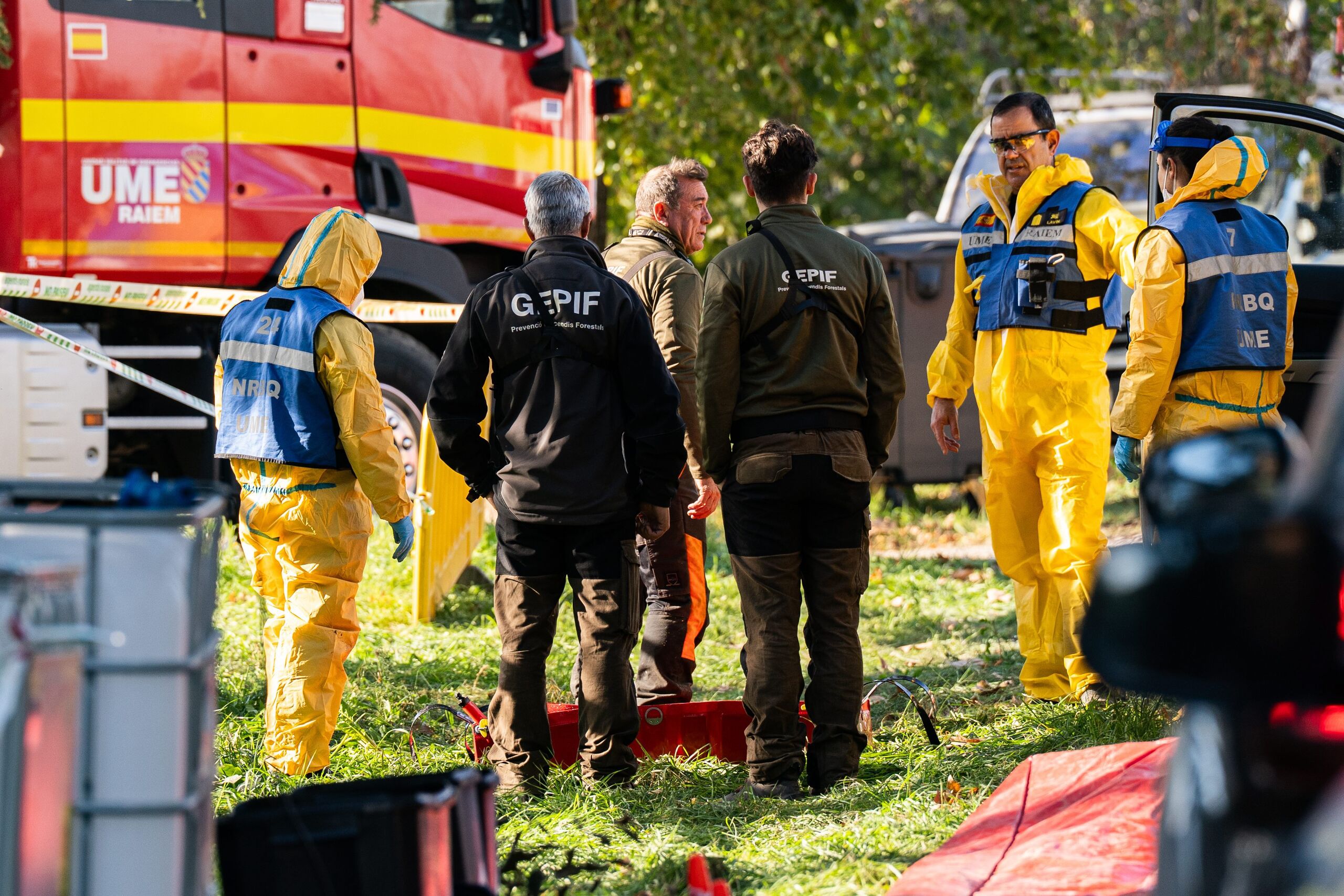 UME, Mossos y Agentes Rurales cuentan ya cincuenta jabalíes muertos en Collserola