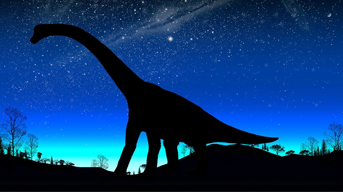 Descubren más de 16.000 huellas de dinosaurios: corrían, nadaban y arrastraban la cola