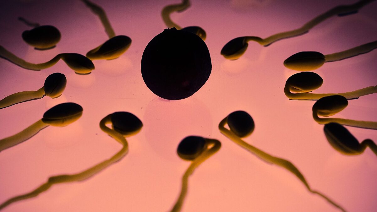 Un donante de semen con un gen cancerígeno engendró 200 niños en Europa, 35 de ellos en España