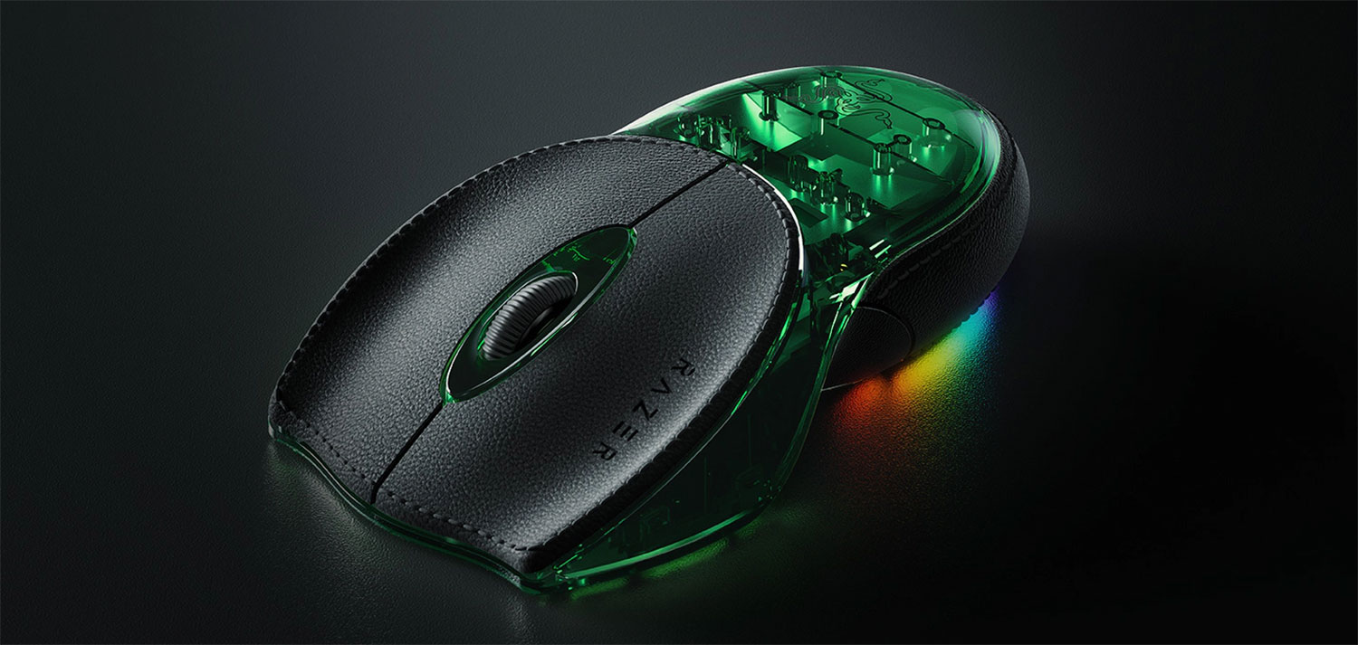 razerboomslang-02.jpg