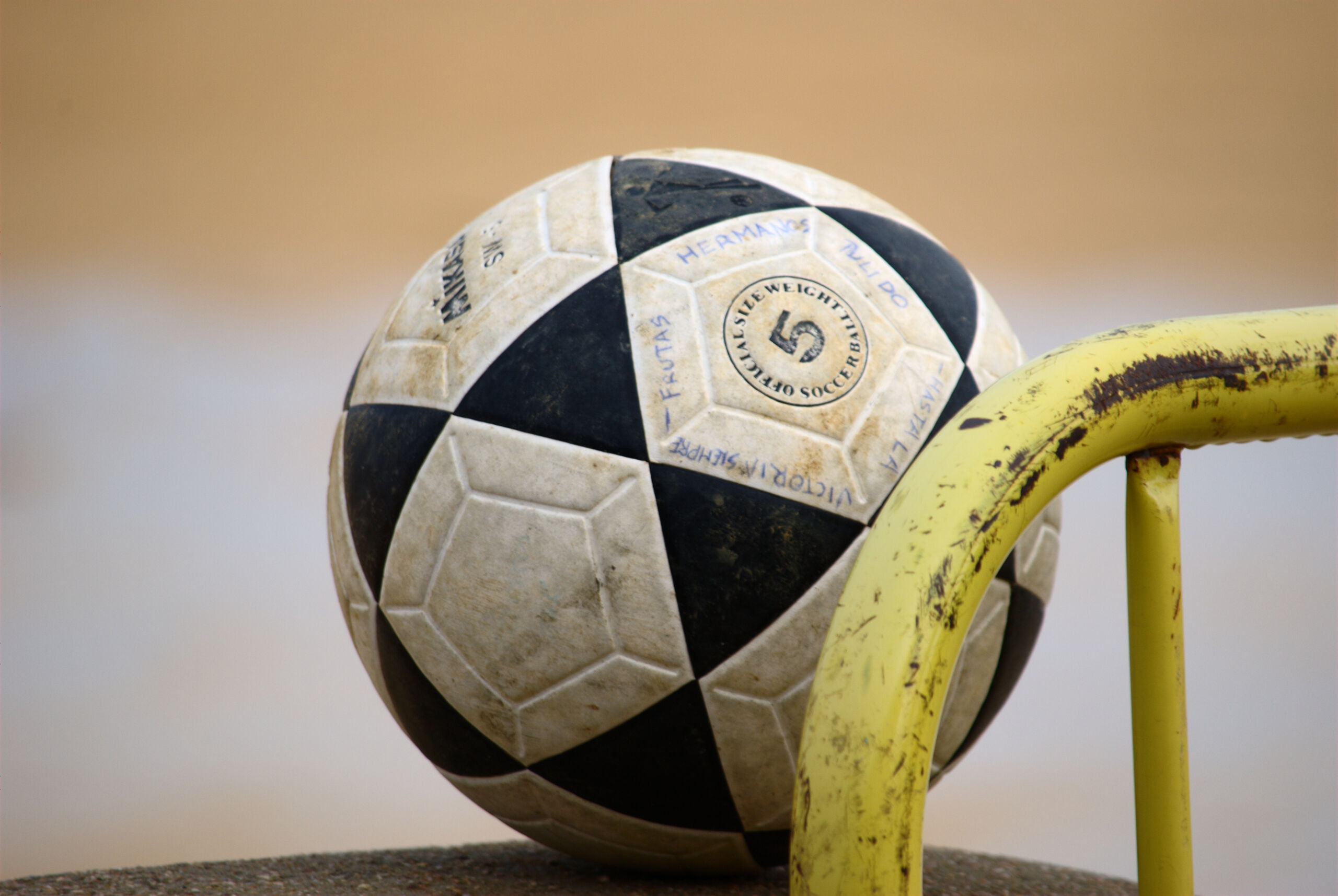 El plan de dos históricos de Segunda para ganar dinero lejos del césped