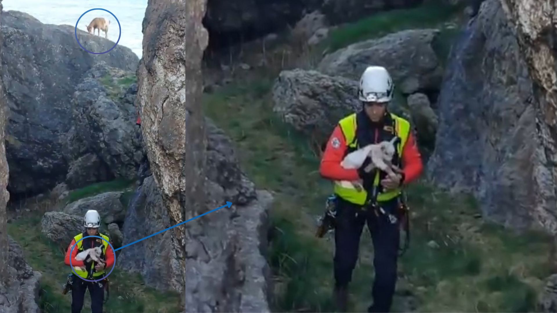 los-bomberos-rescatan-en-un-acantilado-de-ajo-a-una-cabra-que-no-queria-abandonar-a-su-cria-recien-nacida.jpg