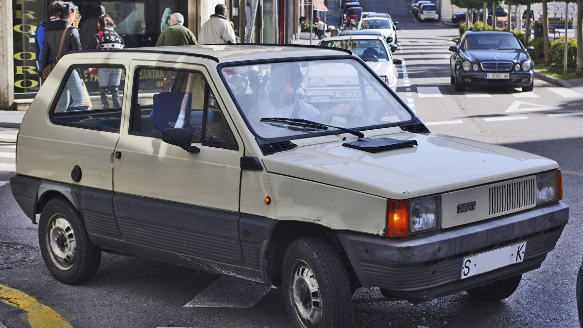 Elegía a un viejo panda