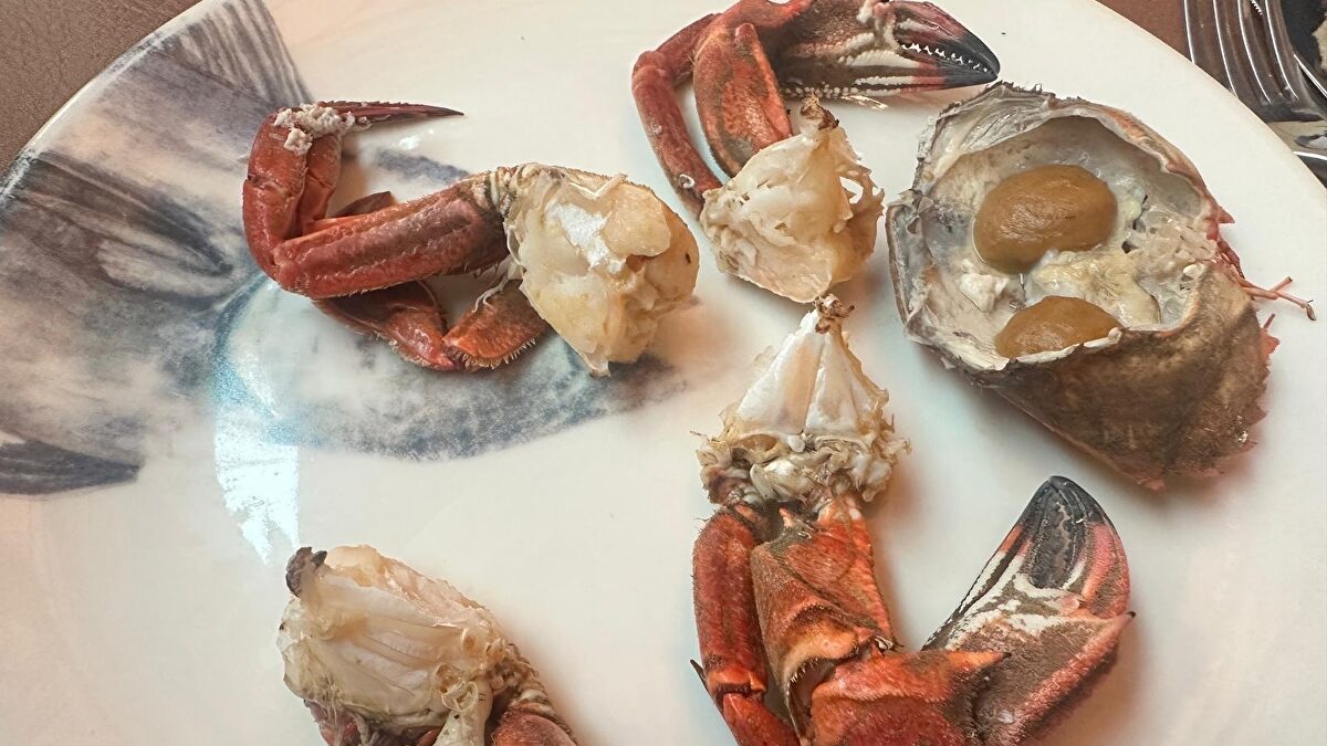 Aleteo, el nuevo puerto de mar de Rocacho en la Castellana con una nécora a la sal única