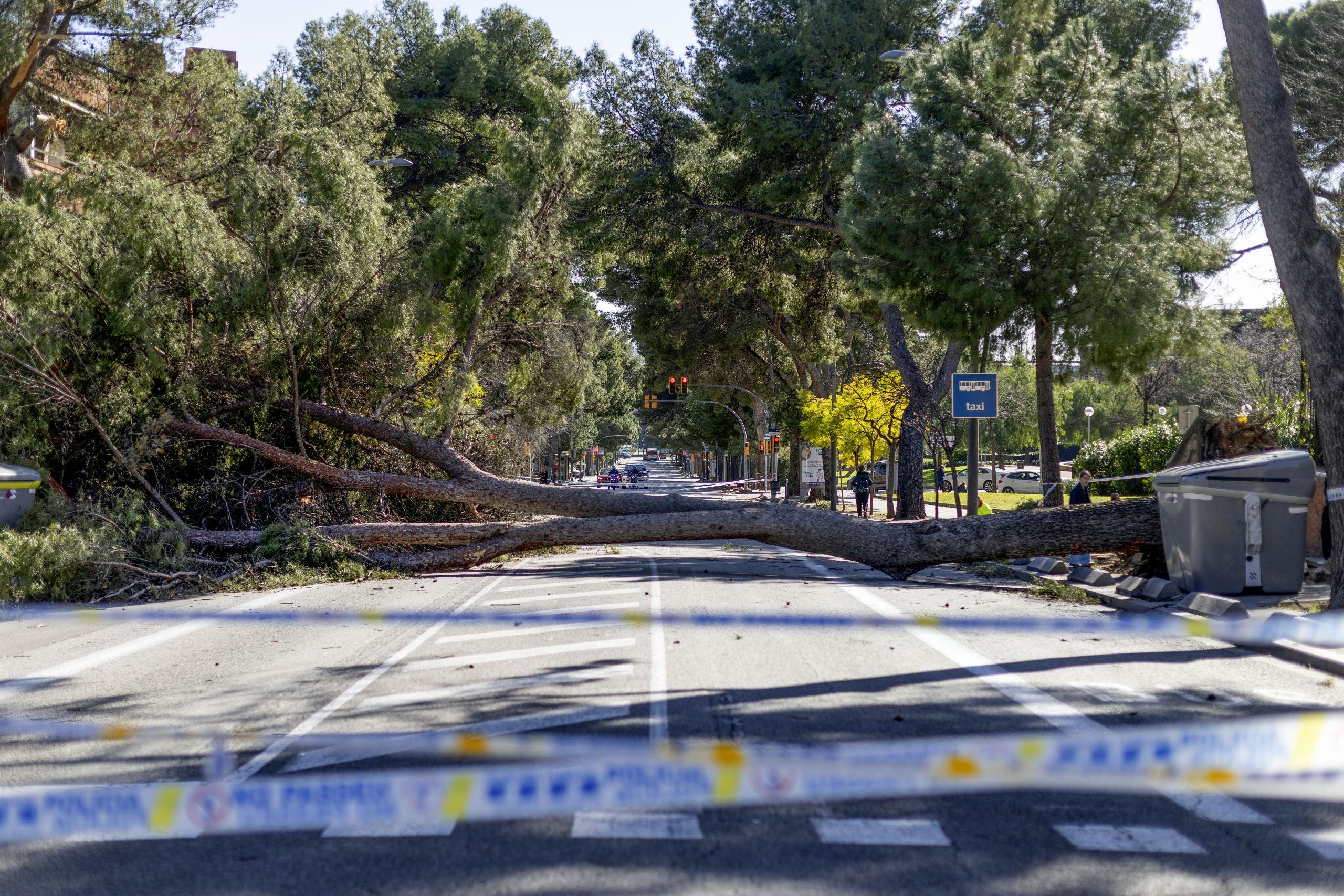 Otro día aciago en Cataluña: un herido crítico y varios graves por un vendaval que altera todos los transportes