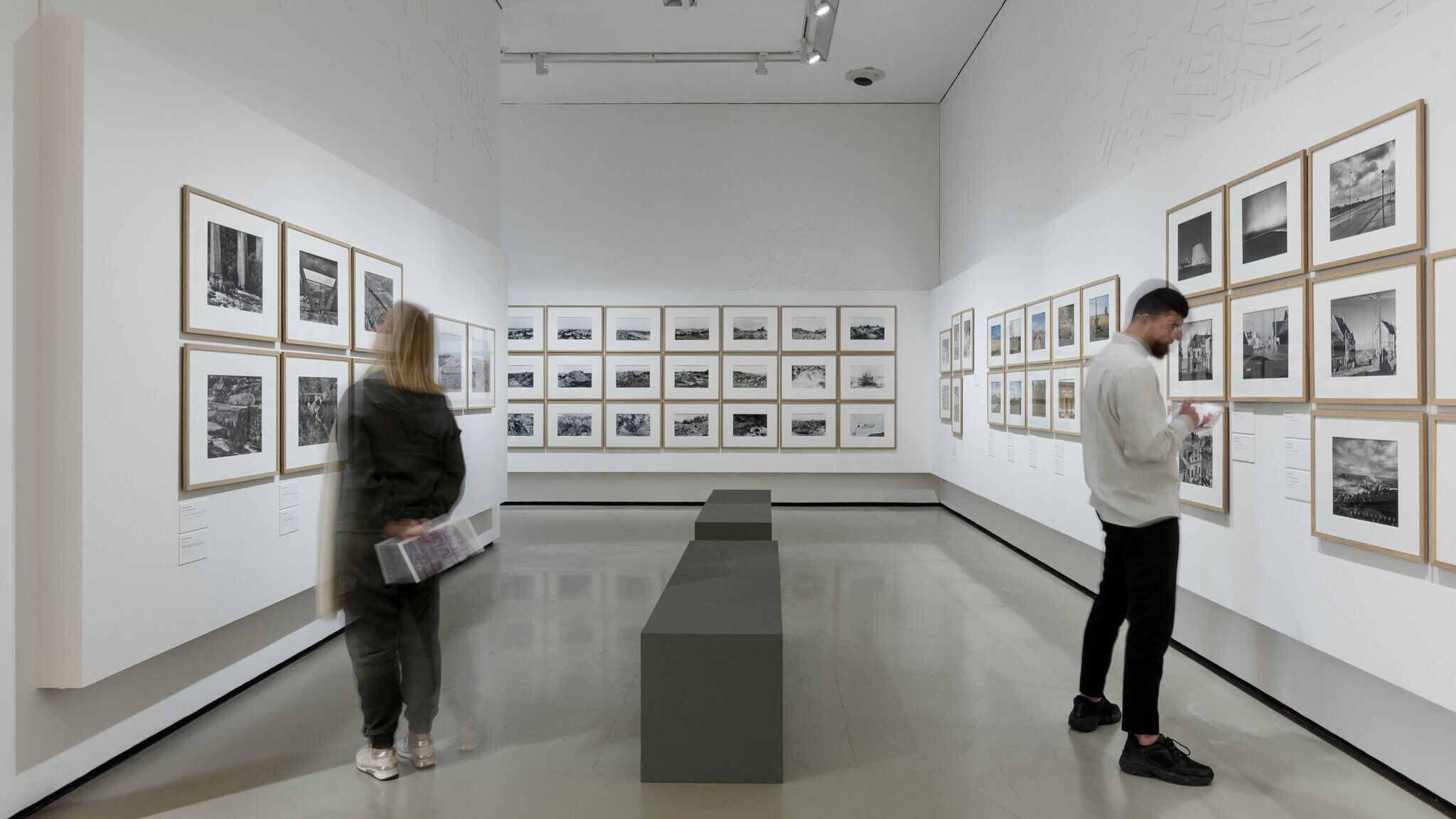 De Moby Dick a la cigüeña: tres planes culturales para disfrutar esta semana en España