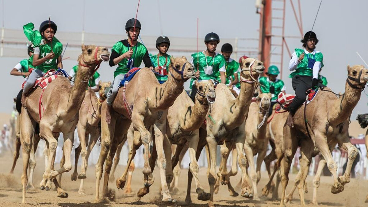 El bloqueo de Ormuz deja sin alfalfa española a los caballos del jeque y a los camellos de carreras