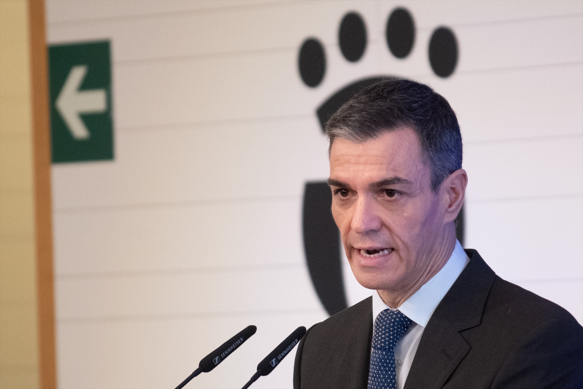 Sánchez: ¿austericida o negacionista?