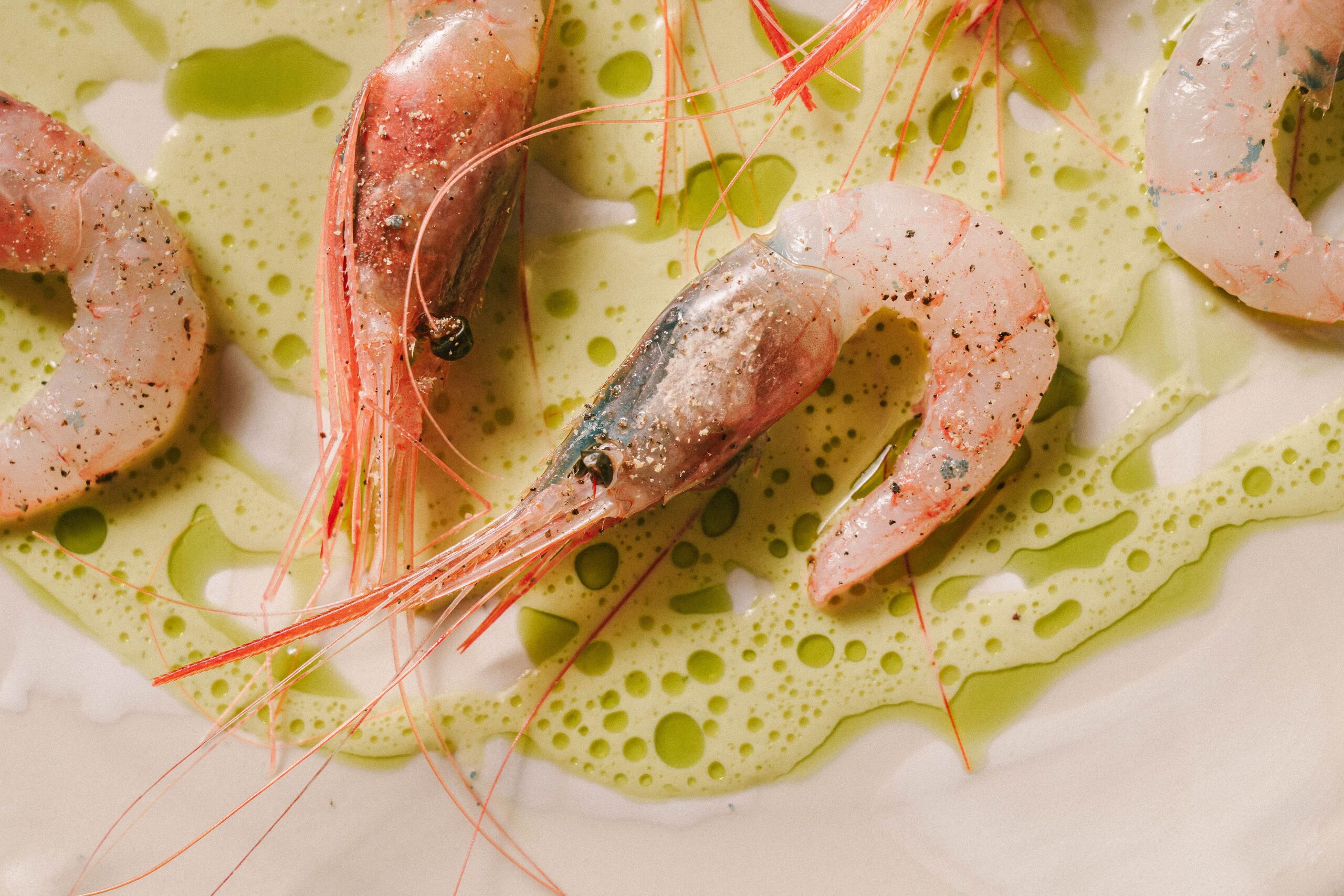 Desayunos, barra y tradición: así es Tragabuches, el embajador del sabor andaluz en Madrid