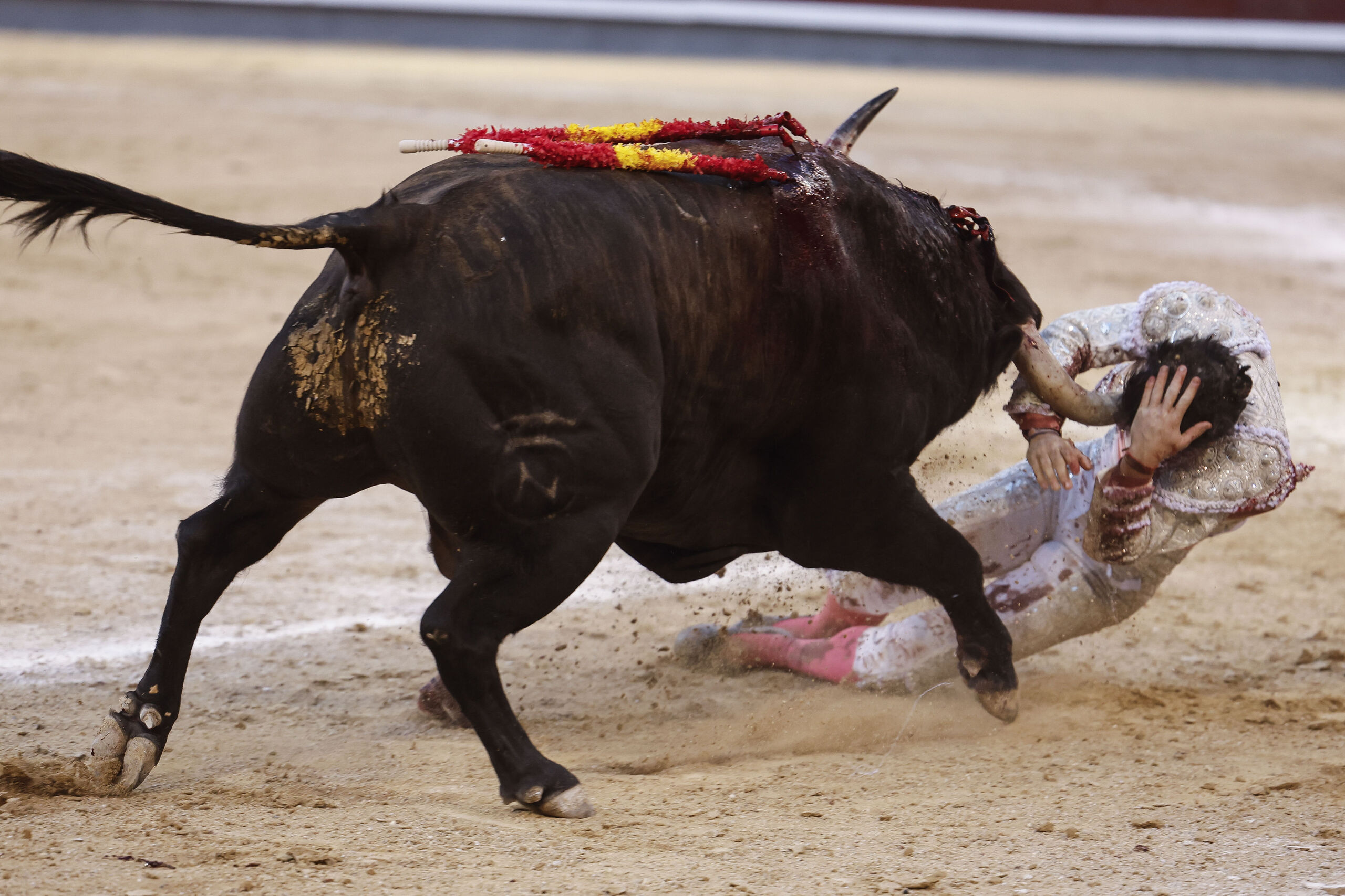 Cristian Pérez sufre una dramática y grave cornada en la tarde de su confirmación en Madrid