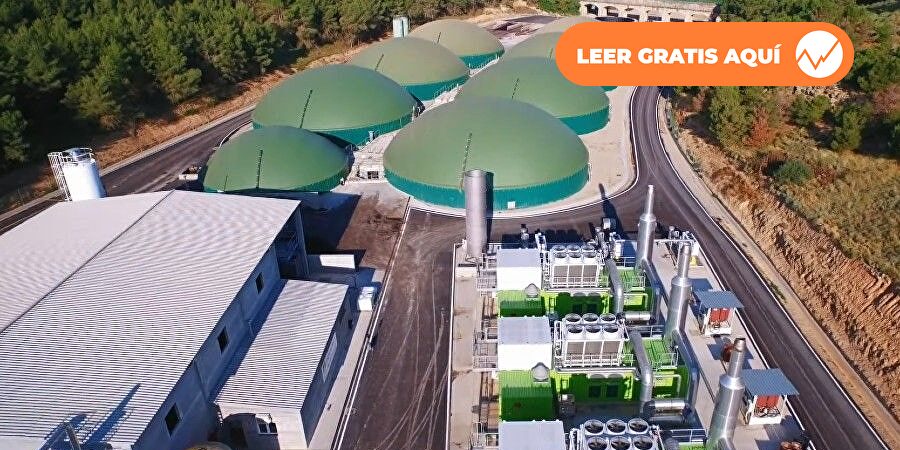 El Grupo Griñó supera los 300 millones de euros de facturación en 2025, con un crecimiento récord del 50%