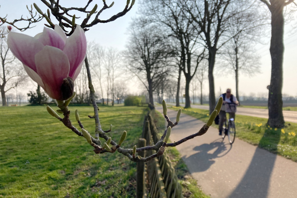 El 'SAD invertido' o cómo el exceso de luz en primavera destruye el estado de ánimo