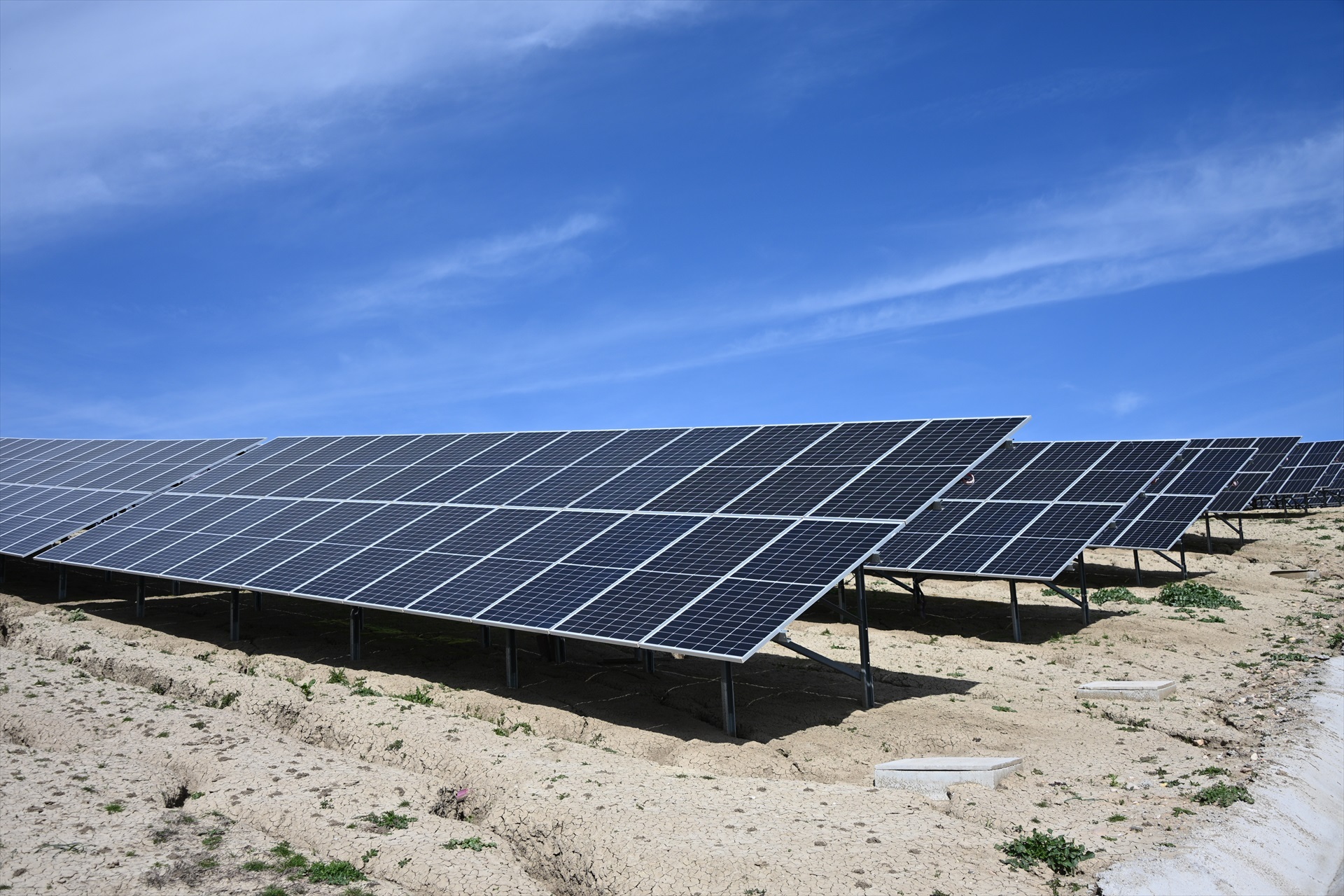 El fracaso verde: Fedea alerta de que el ritmo de instalación de energía fotovoltaica en España es insostenible