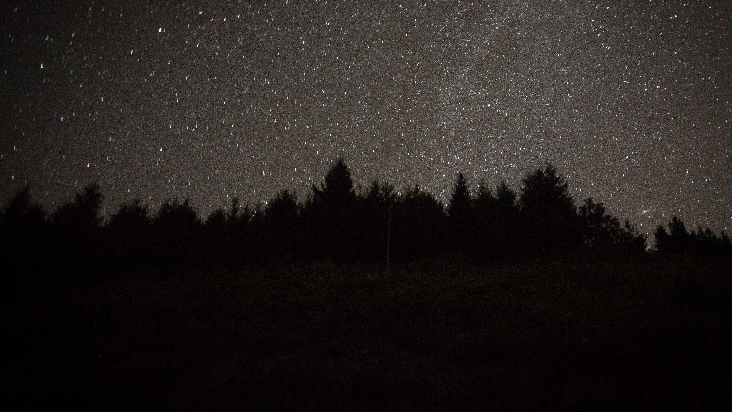 Las Líridas alcanzan su pico esta noche: dónde y cómo ver la lluvia de estrellas en España