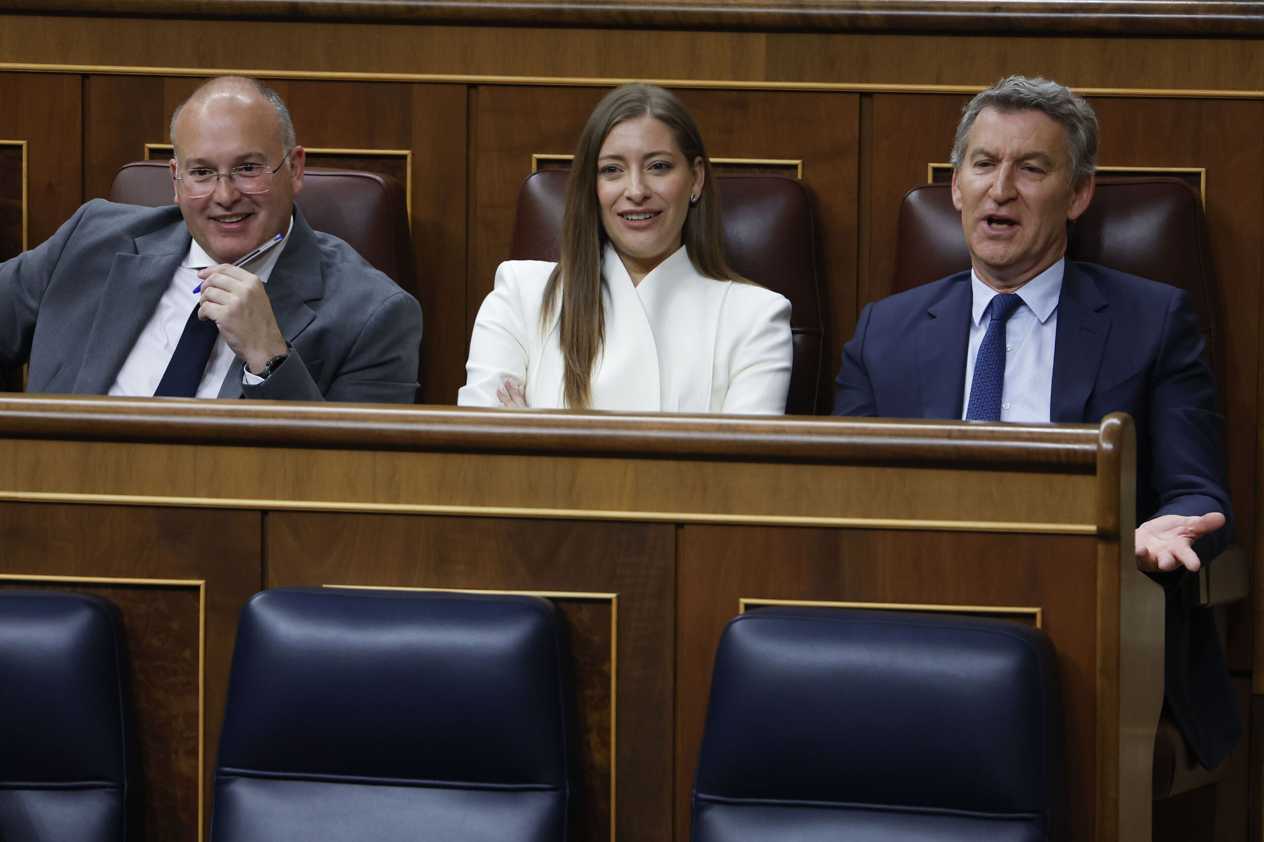 ¿Qué dice la enmienda del PP sobre la moción de prioridad nacional?