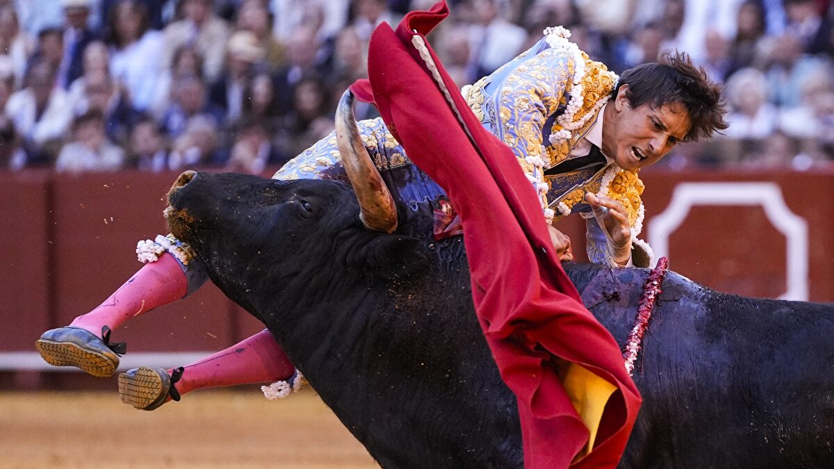 Cornada Roca Rey Amorós comenta la cornada a Roca Rey: