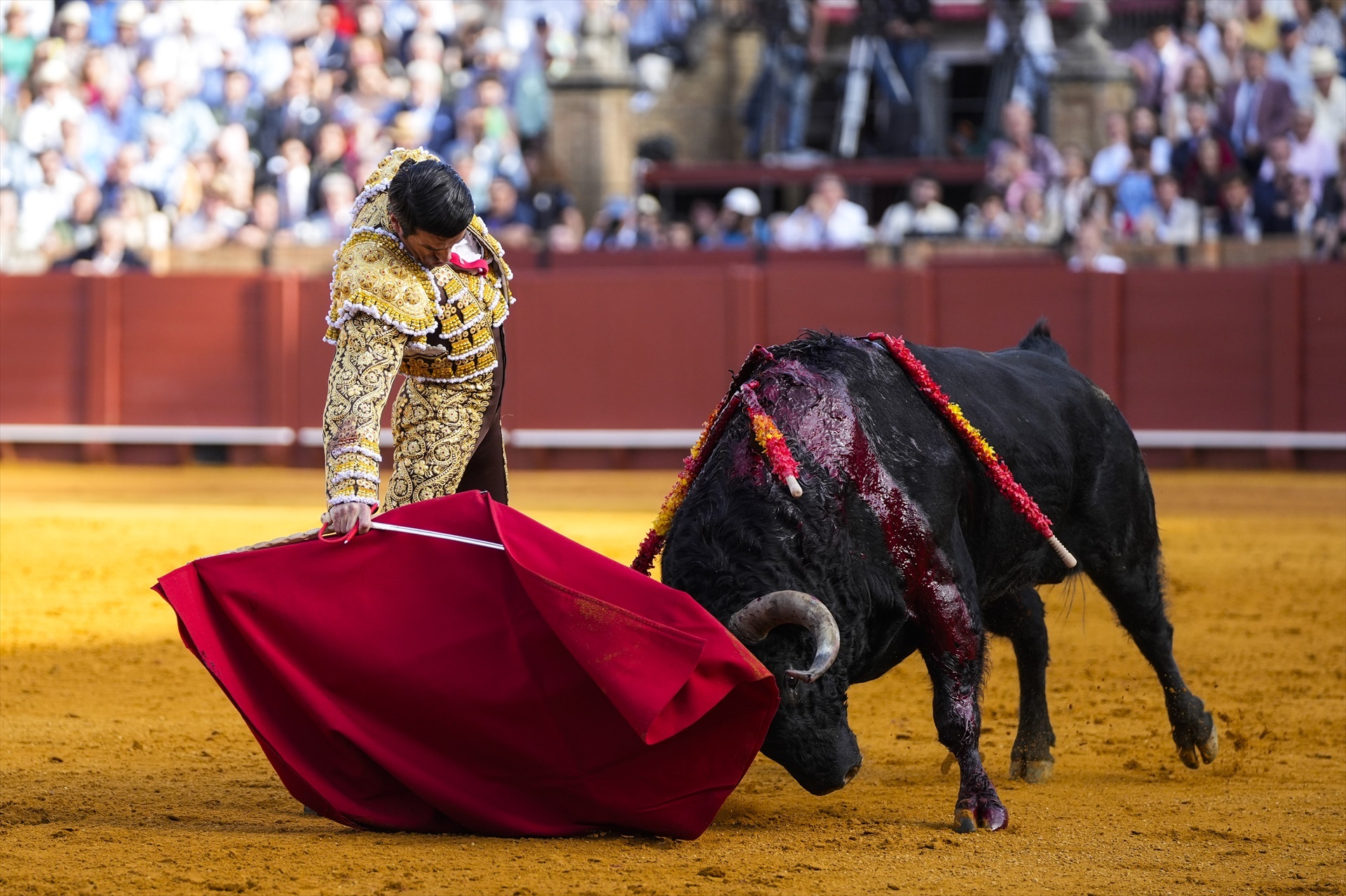 Los carteles de Valladolid, Ávila y Zamora animan la temporada taurina en Castilla y León