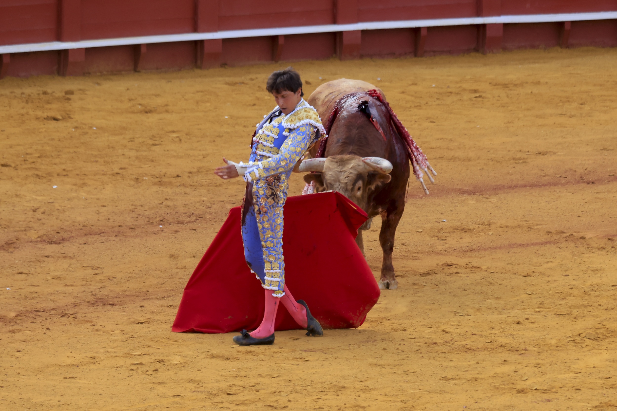 Tana Rivera, testigo de la cogida a Roca Rey en la Maestranza