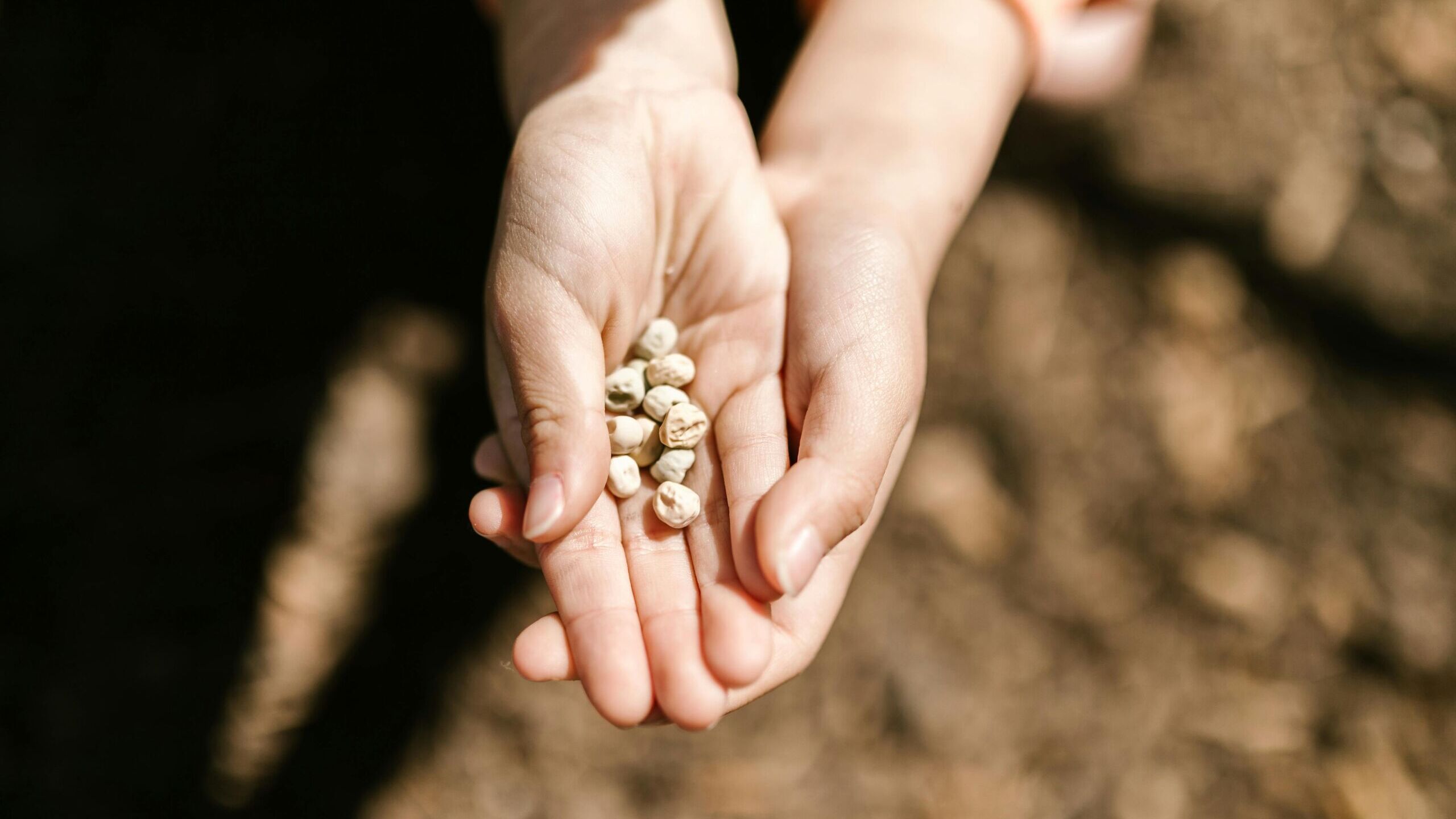 El curioso origen agrícola de la expresión 'a voleo' que desconocías