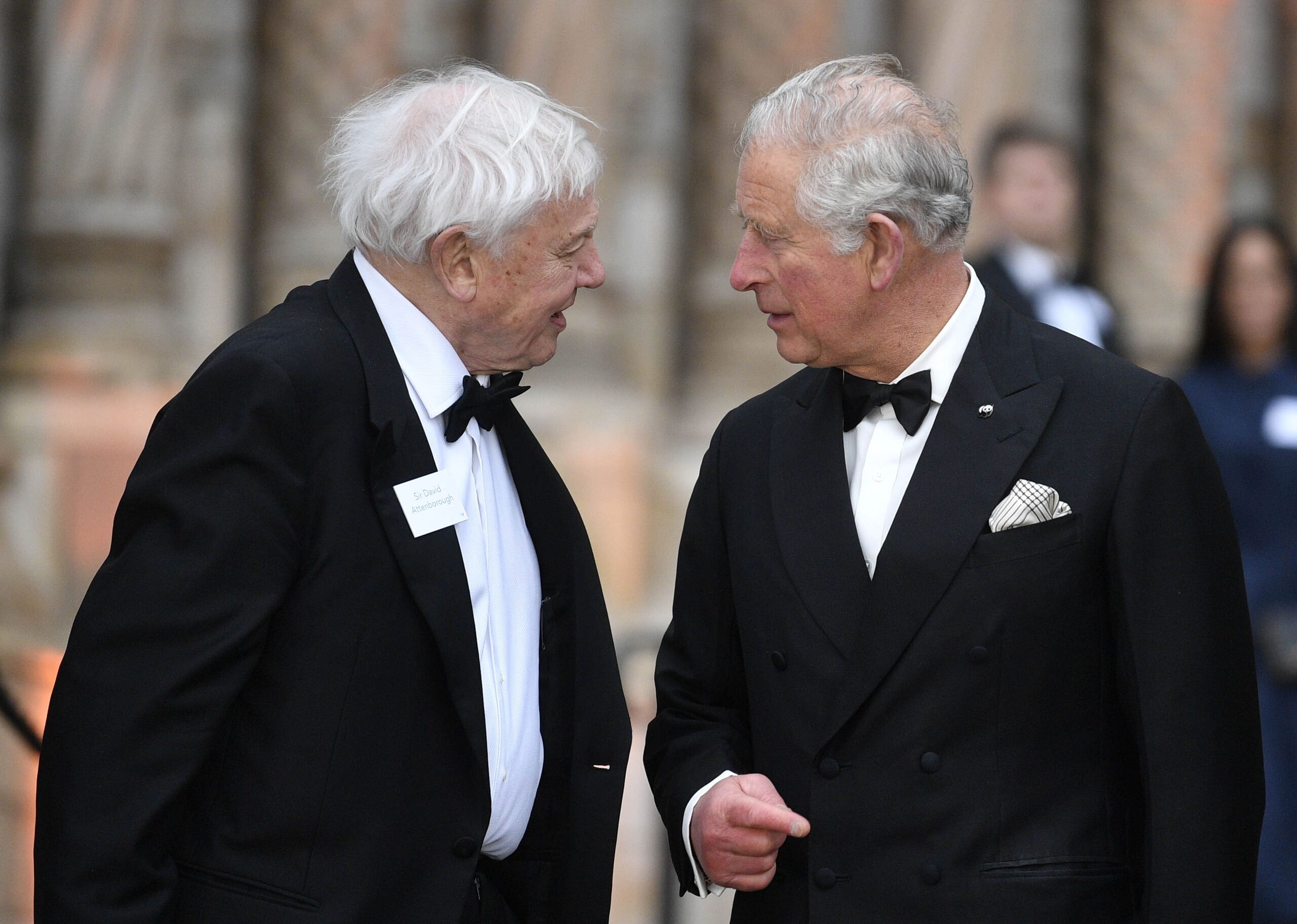 El mítico divulgador David Attenborough celebra 100 años con un gran homenaje