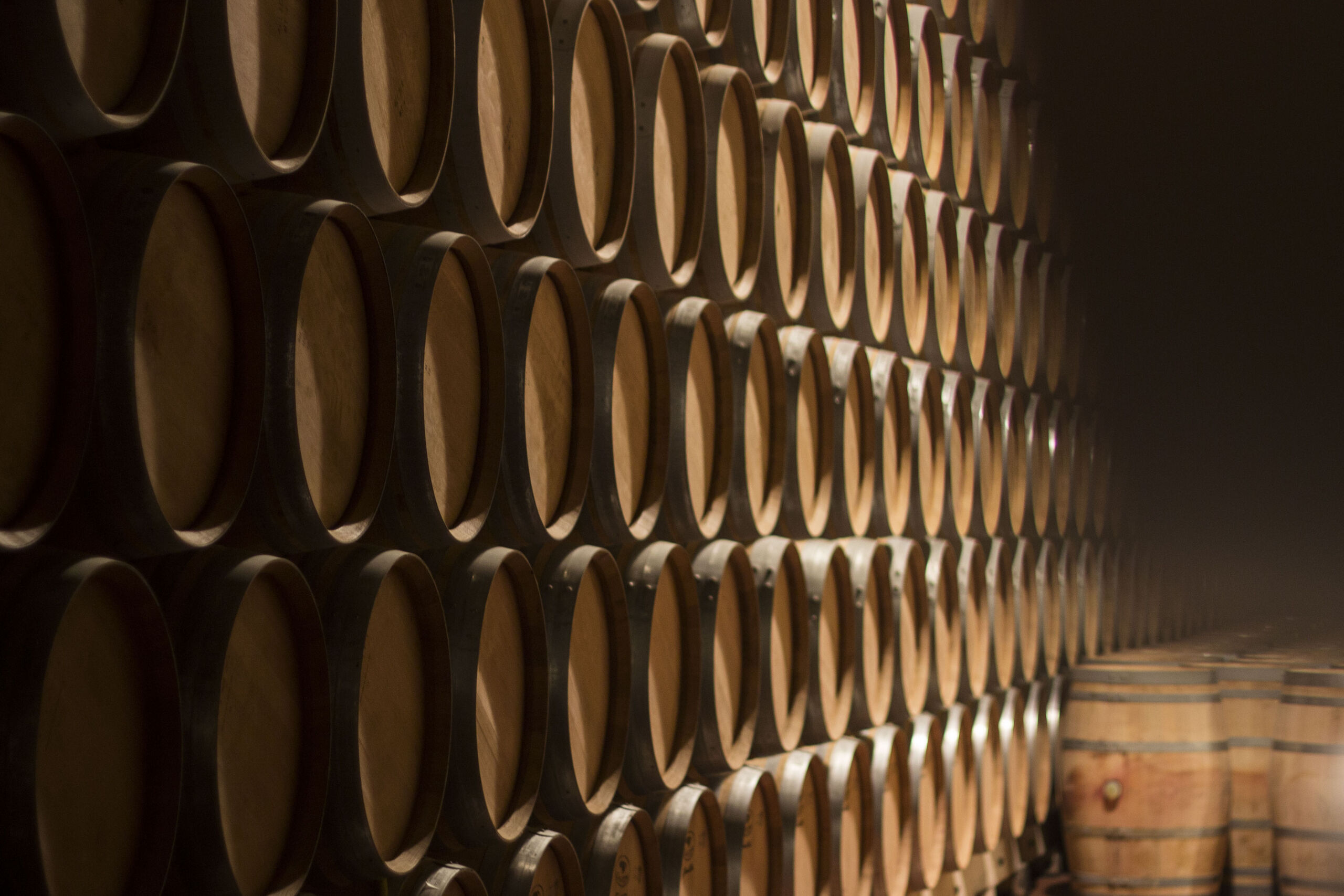 El drama del vino español: se desploma el consumo y cierran las bodegas