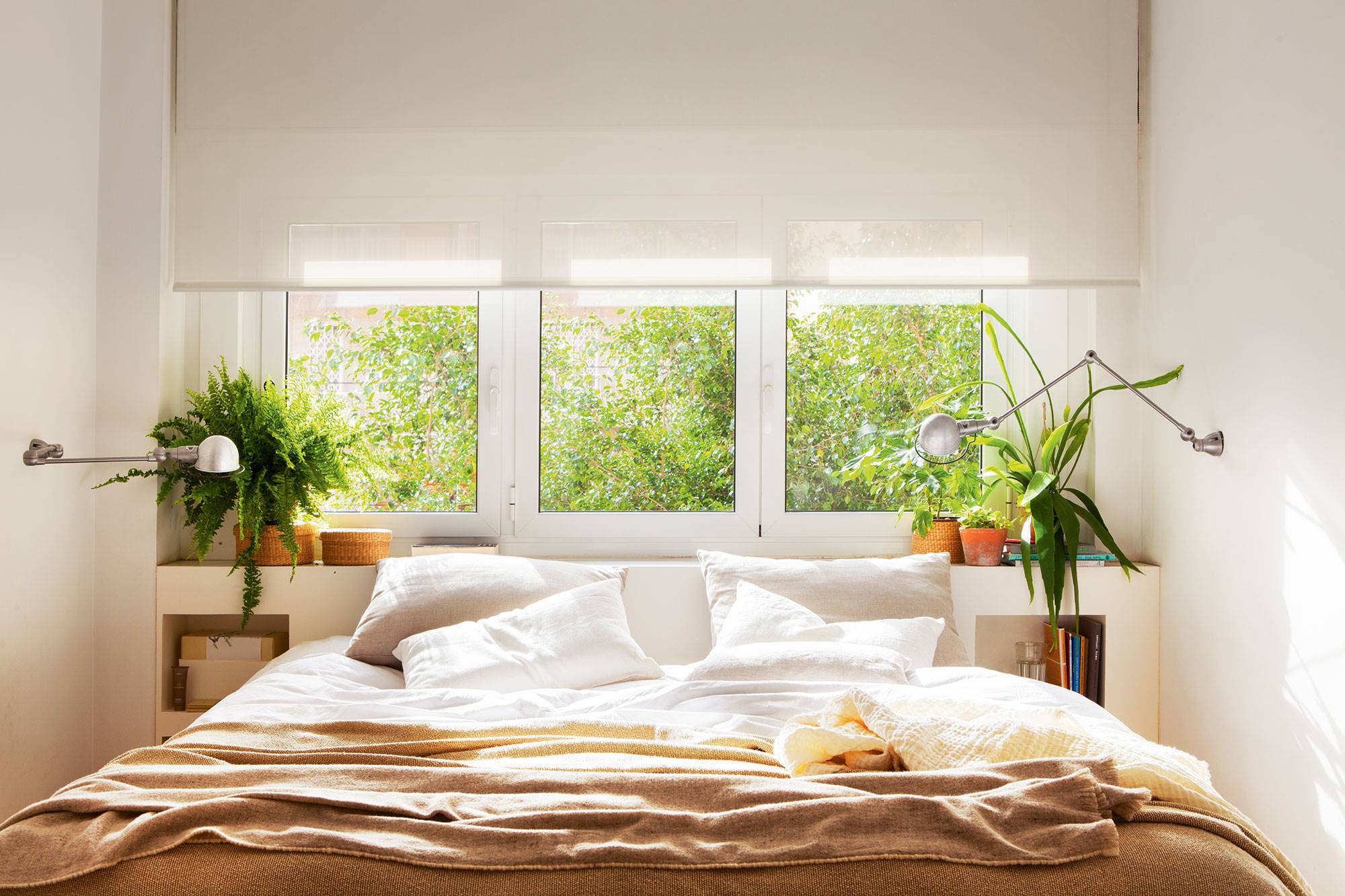 Las mejores plantas de interior para limpiar el aire de su dormitorio