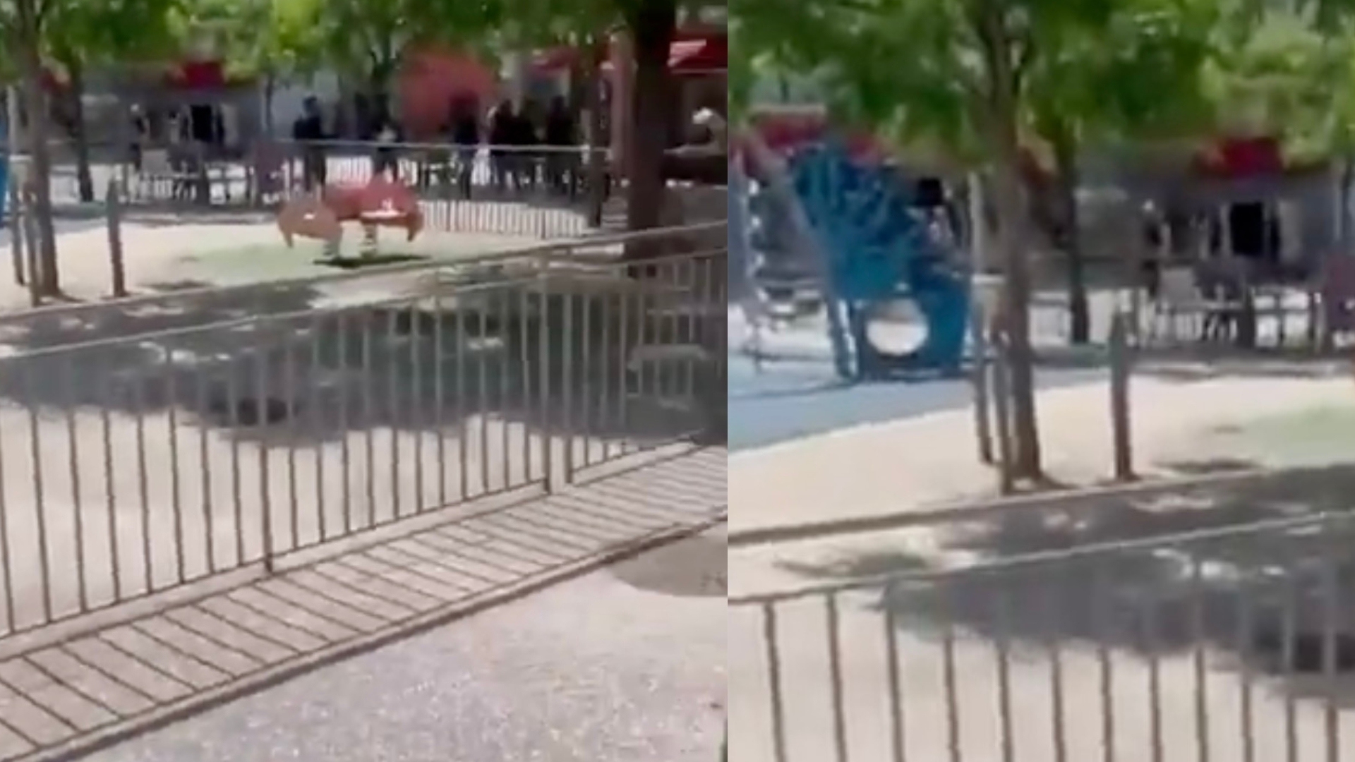 Dos muertos y seis heridos en un tiroteo en Niza