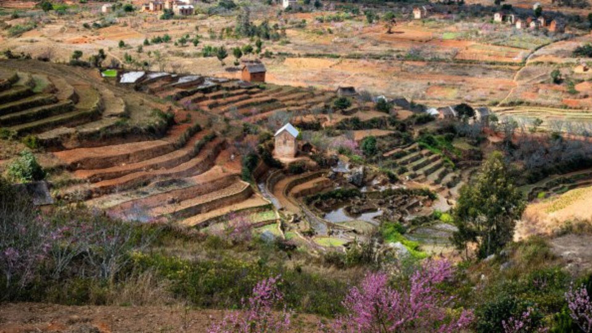 Madagascar sin salir de Madrid: el viaje fotográfico que revela su lado más desconocido