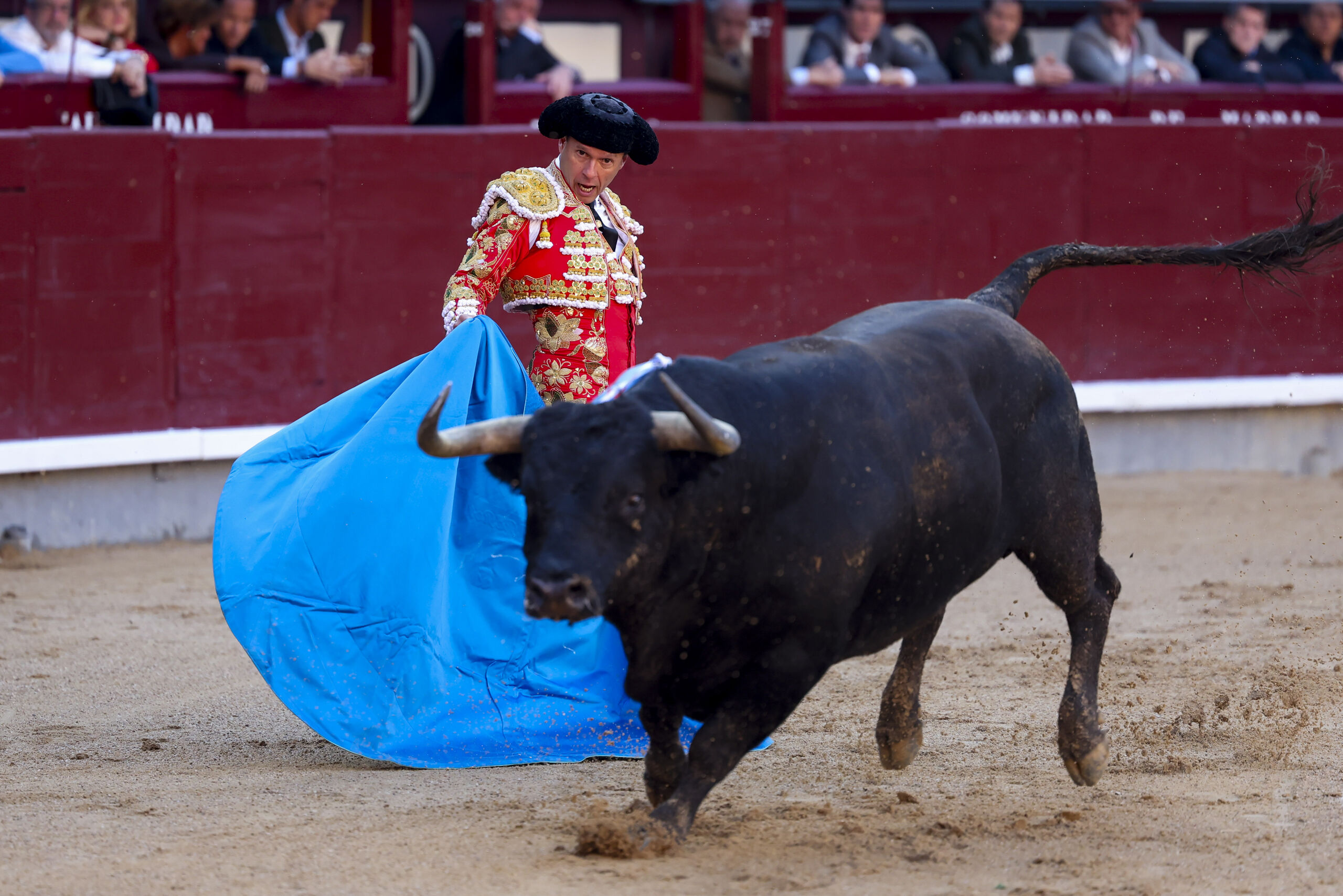 La "desastrosa" corrida de Partido de Resina en Madrid y el cuestionado regreso de El Vellosino