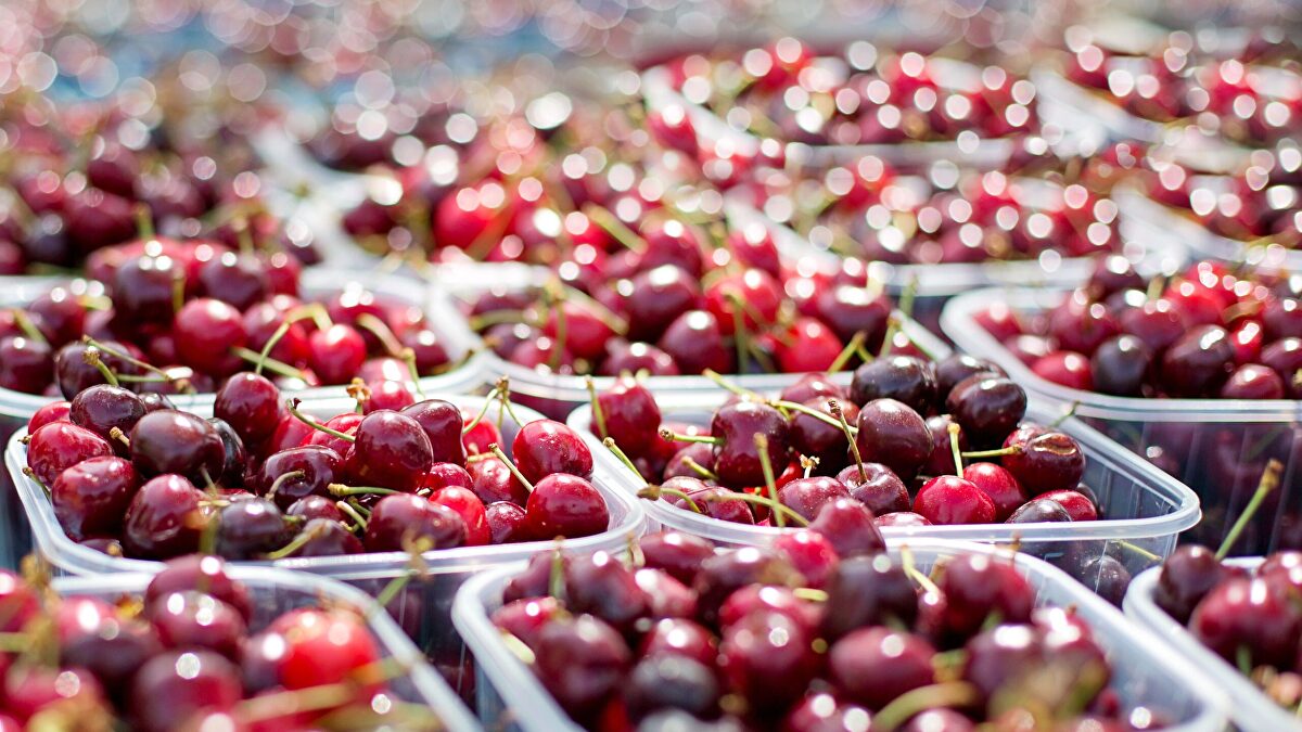 China sigue bloqueando las cerezas españolas pese a los guiños de Sánchez con Pekín
