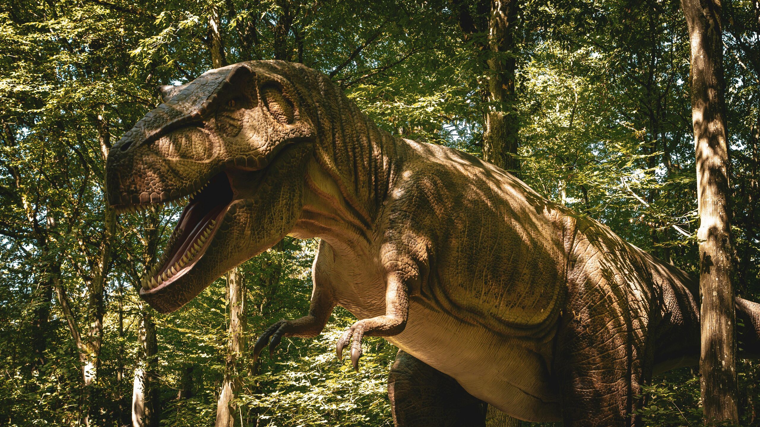 ¿Por qué el T-rex tenía los brazos tan cortos? El hallazgo que lo explica todo