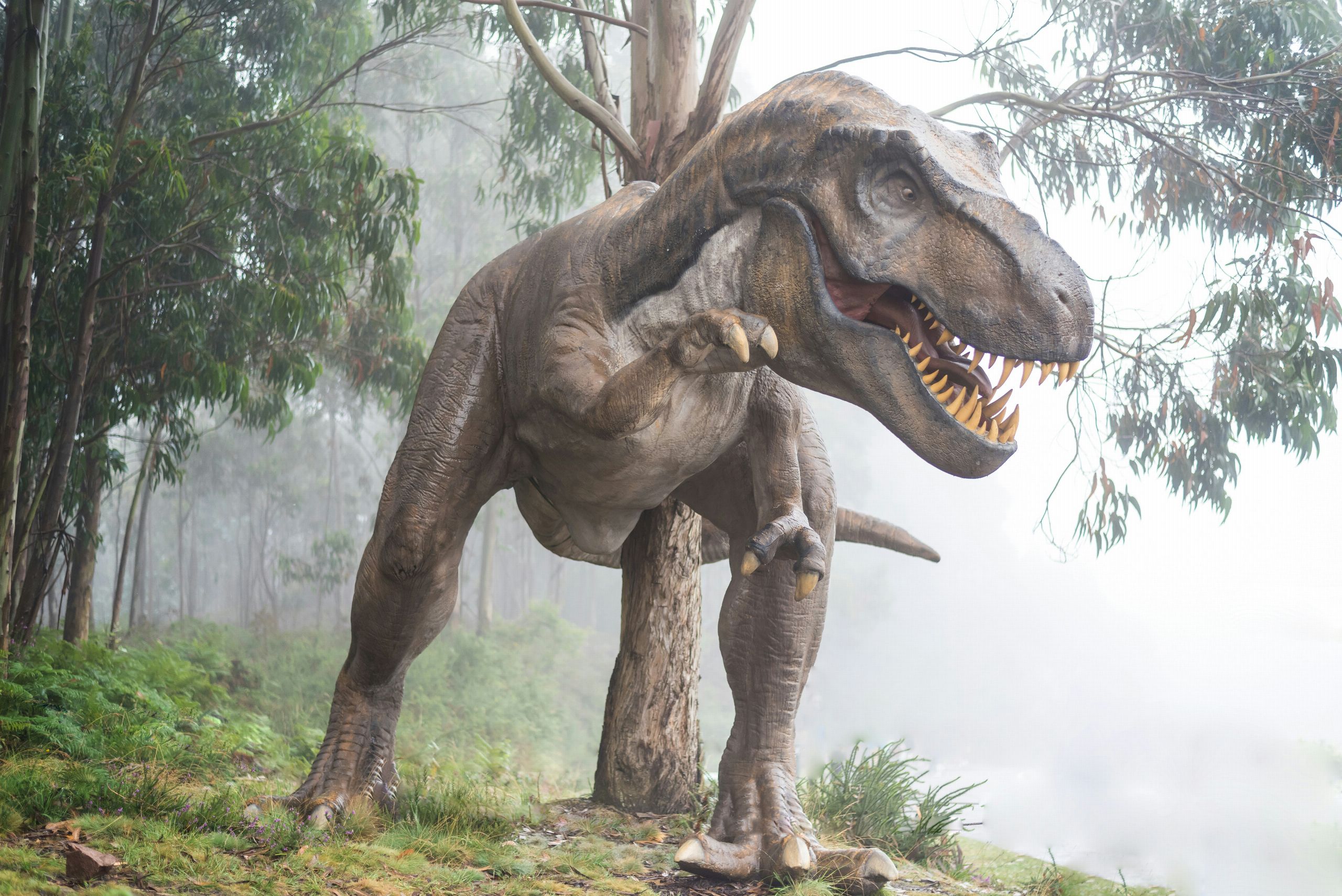 Descubren por qué el Tyrannosaurus rex tenía brazos diminutos