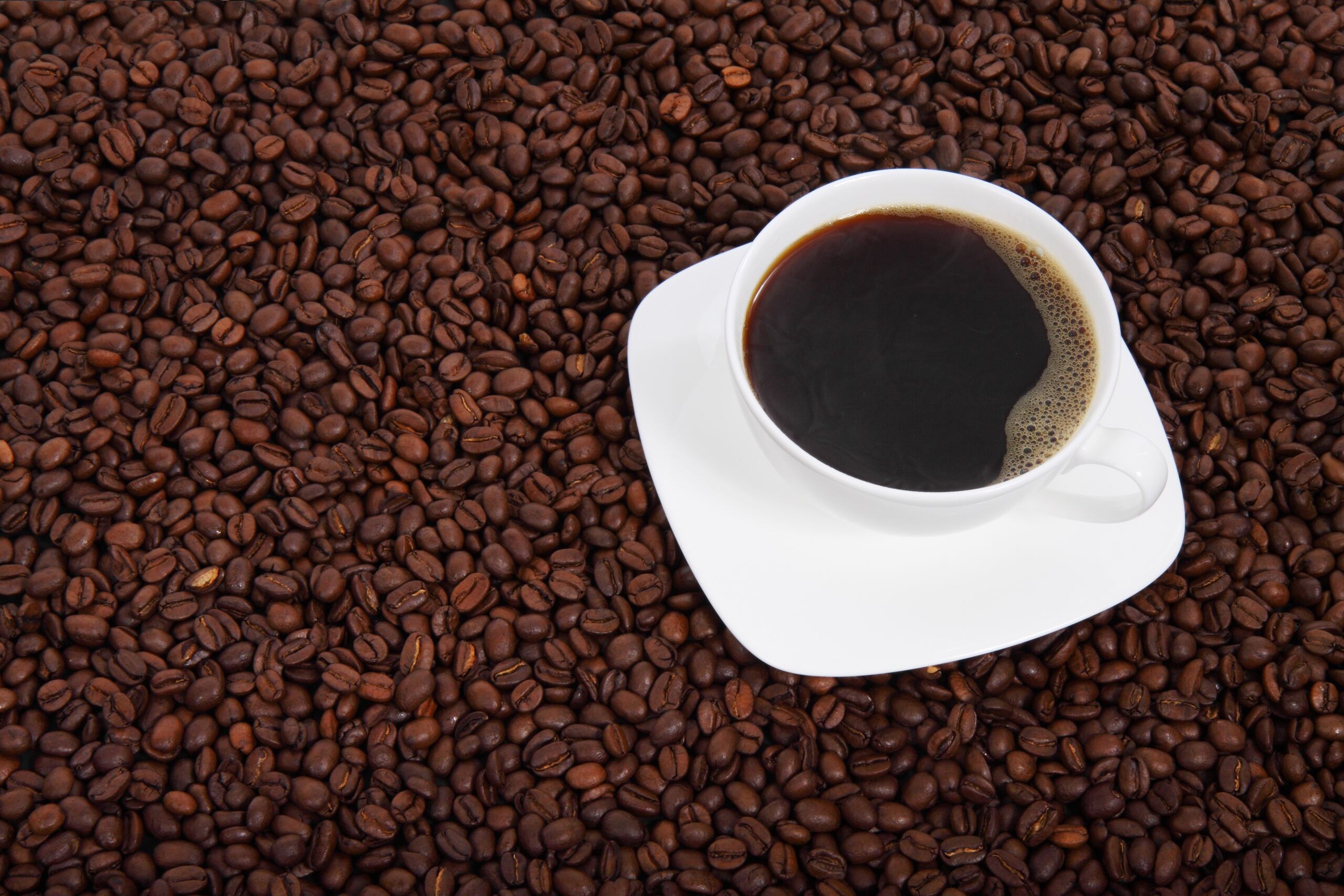 Por qué guardar el café en la nevera es un error que arruina su sabor y aroma