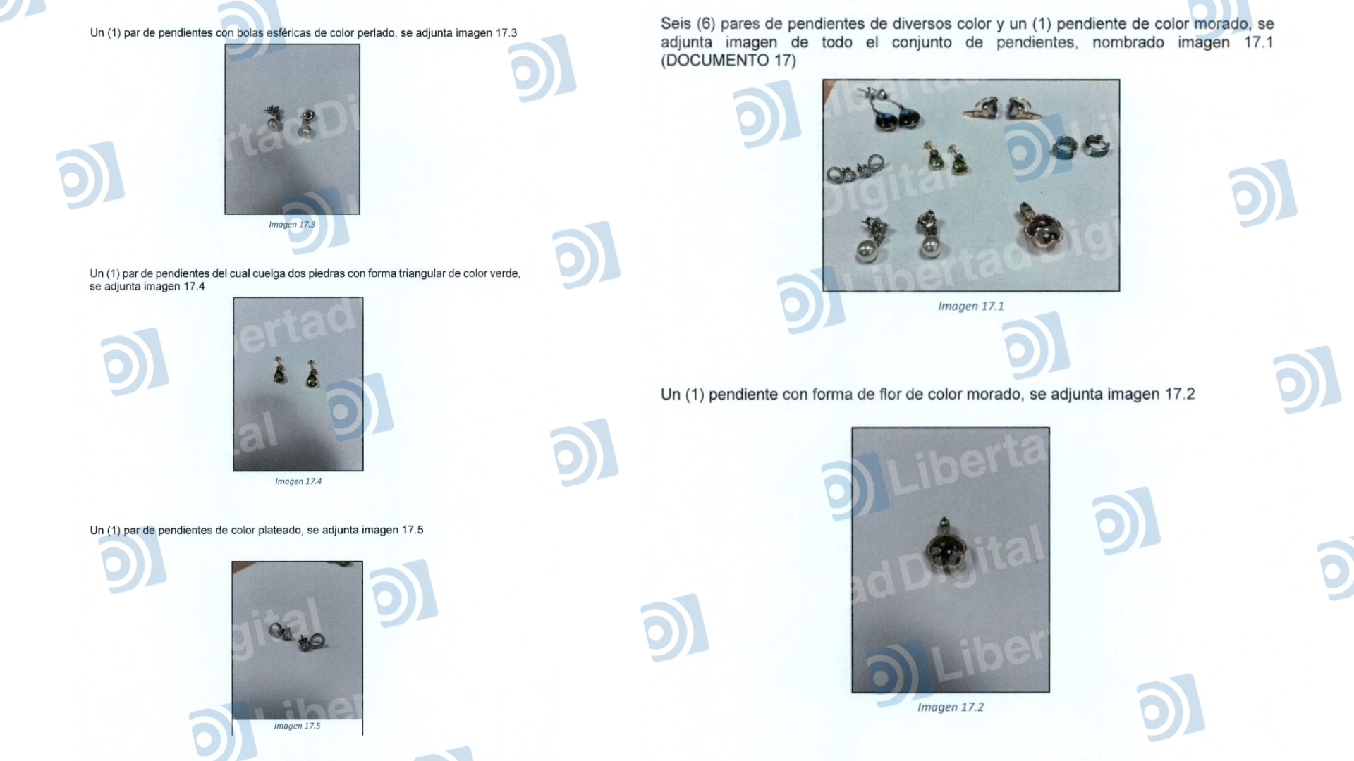 listado-y-reportaje-fotografico-de-los-efectos-intervenidos-en-el-domicilio-de-simon-leendert-verhoeven-1.jpg