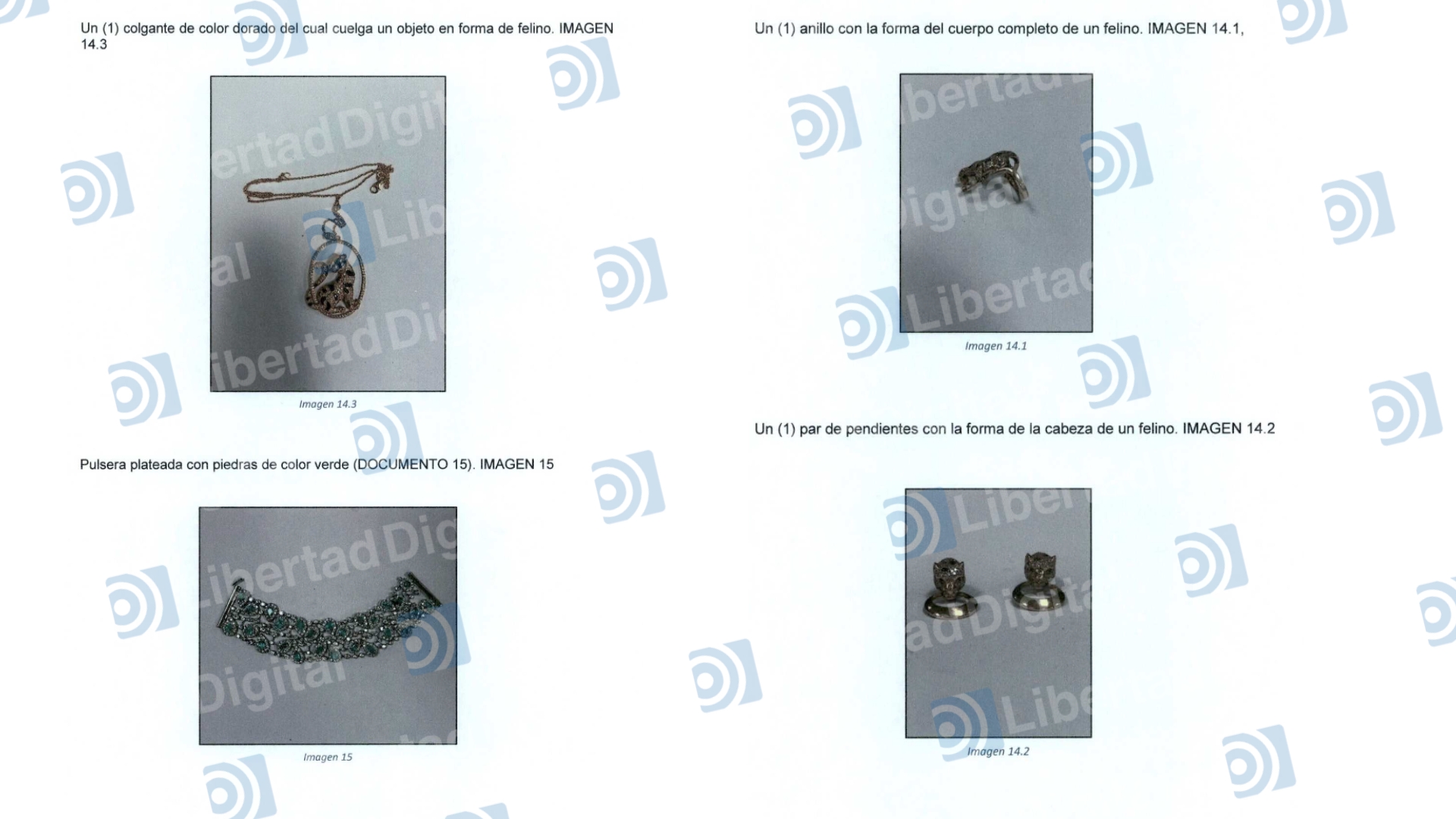 listado-y-reportaje-fotografico-de-los-efectos-intervenidos-en-el-domicilio-de-simon-leendert-verhoeven-2.jpg