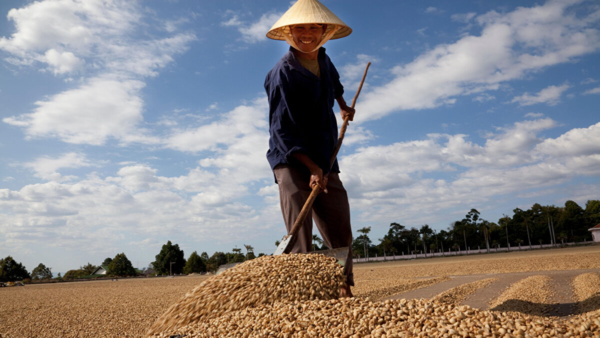 El mapa mundial del café da un vuelco: Asia ya produce el 32% y arrincona a Sudamérica