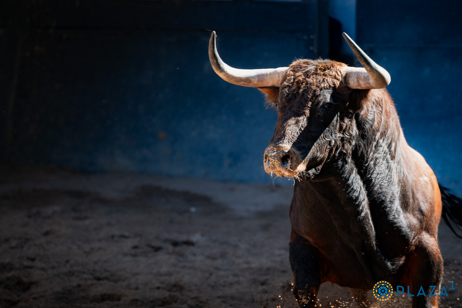 Expectación en Las Ventas por el esperado regreso de Roca Rey en la Corrida de la Prensa: dónde ver y horario