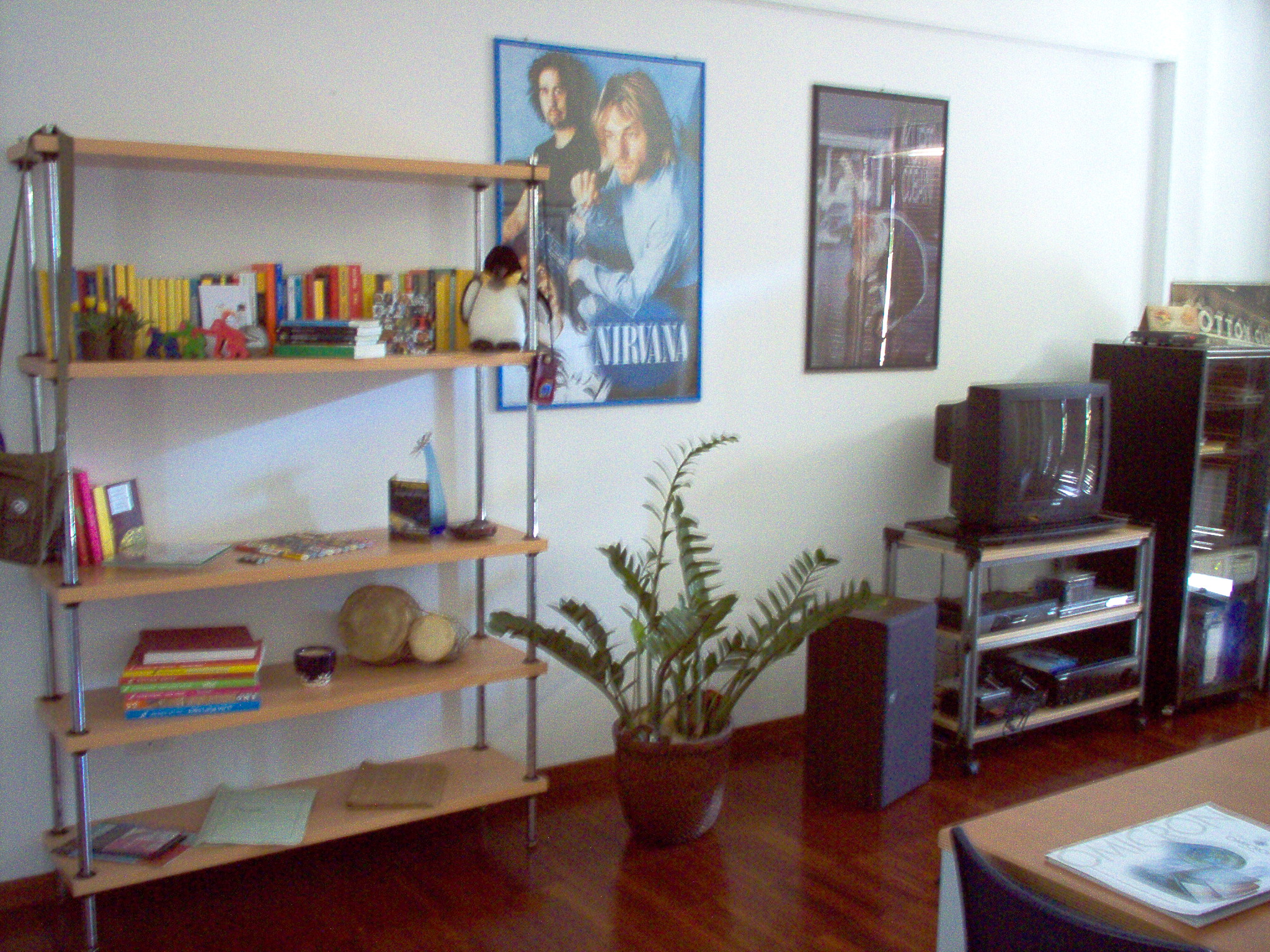 Plantas reales que parecen de plástico para decorar el hogar sin esfuerzo