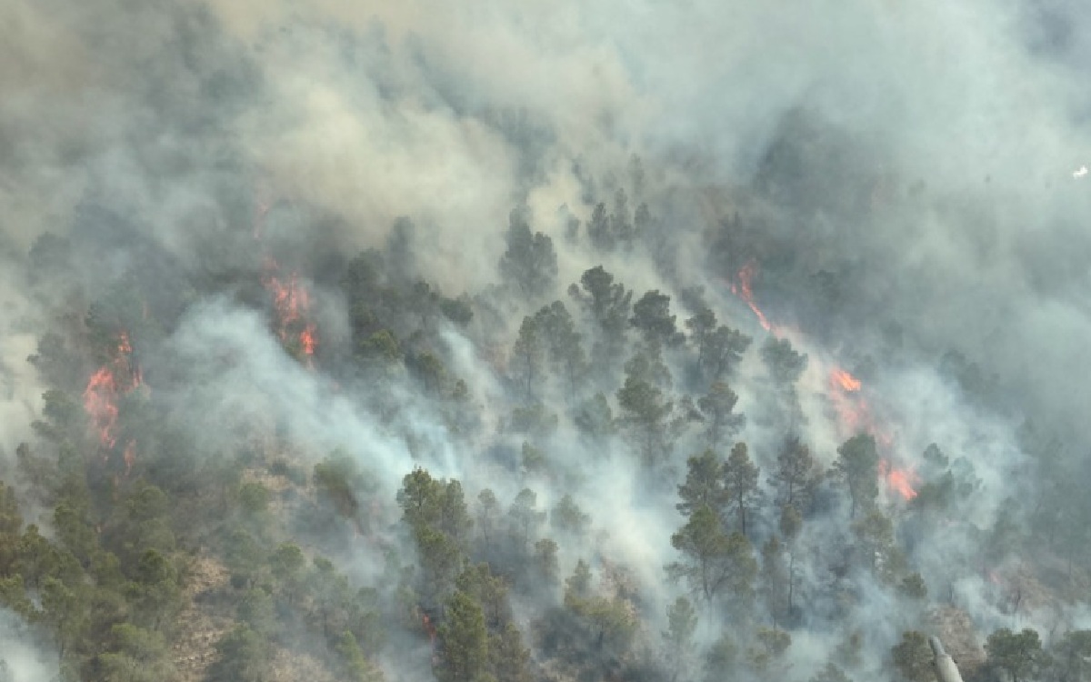 La UME de camino al incendio de Los Garres (Murcia) que obliga a desalojos preventivos