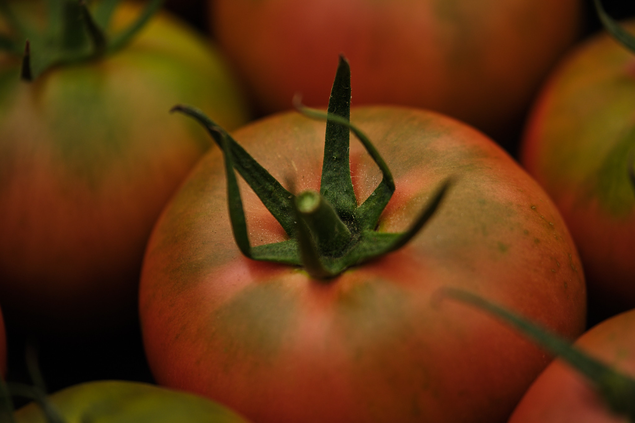 El milagro del tomate 'Japi': la ciencia española que ha log