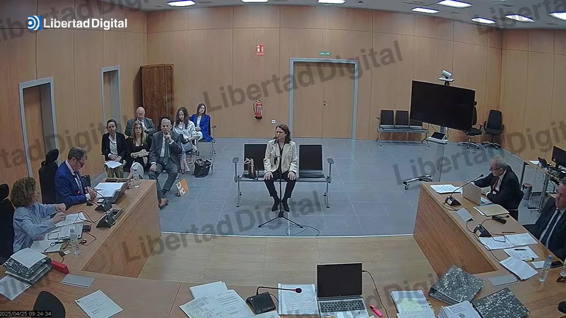 La fiscal del caso David Sánchez mintió: no investigó un email que denunciaba expresamente el enchufe del 