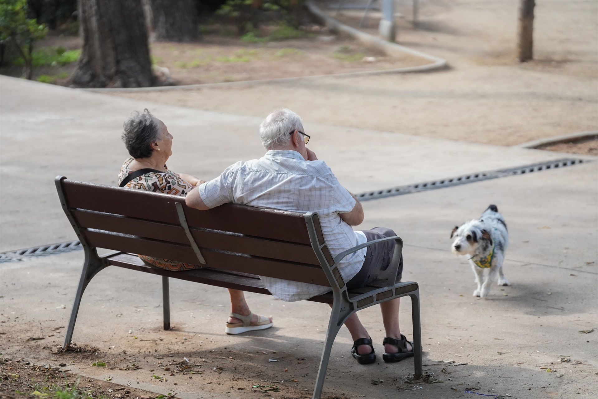 El Gobierno fulmina los planes de pensiones en España: su peso en el ahorro cae a mínimos