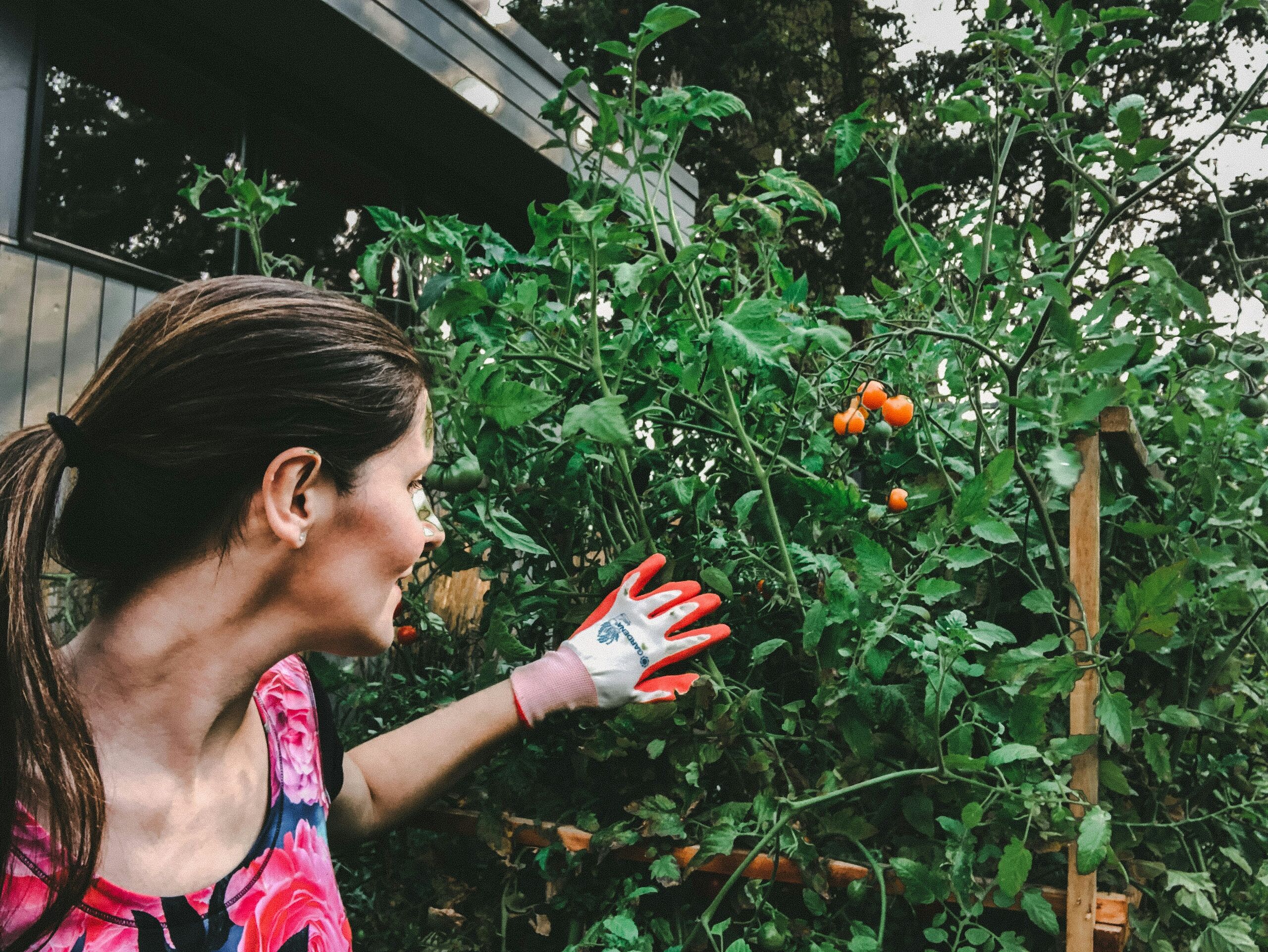 El grave error de tu huerto urbano: mezclar plantas que son 