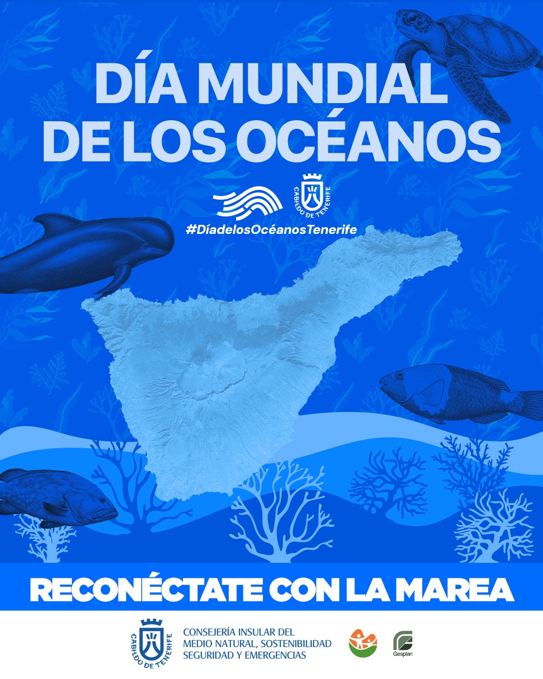 Tenerife impulsa un amplio programa de actividades por el Dí
