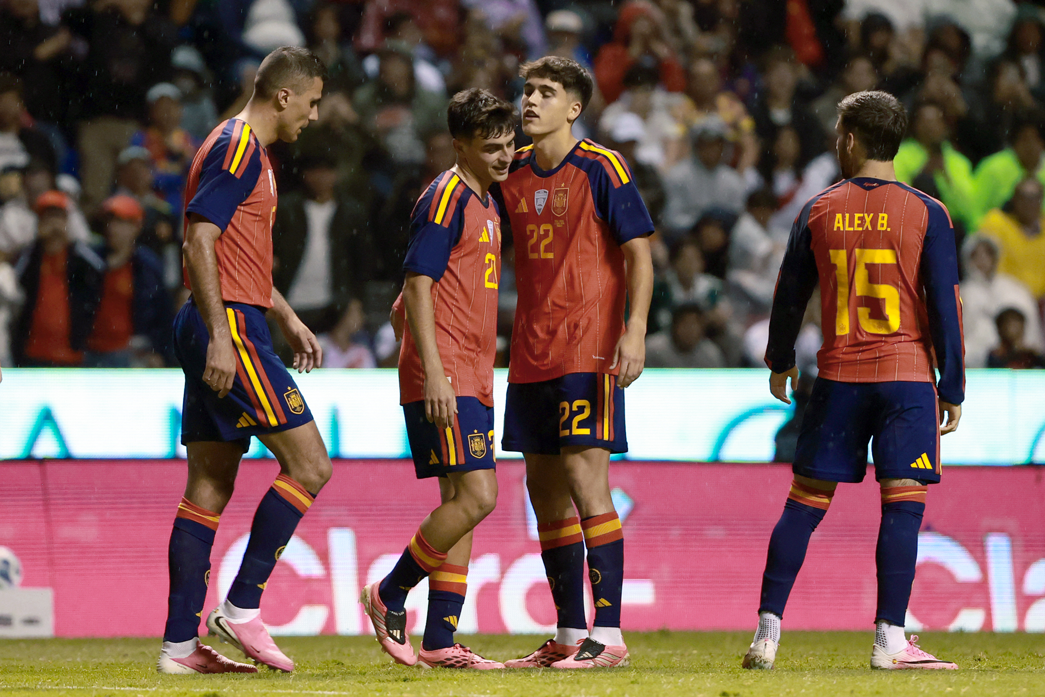 Desconcierto en la Selección por la interminable versión del