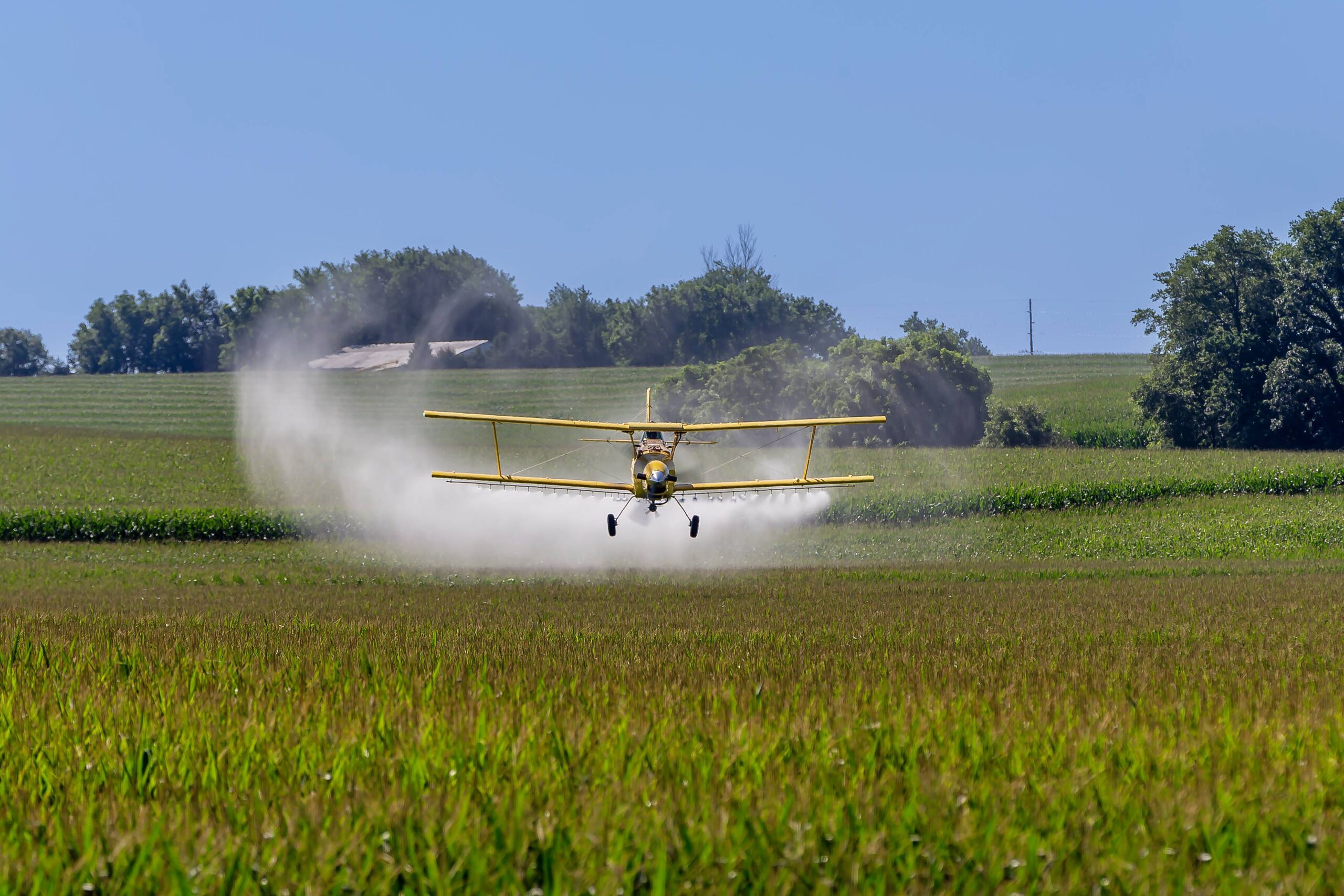 El error de abusar de los insecticidas: por qué usar más dos