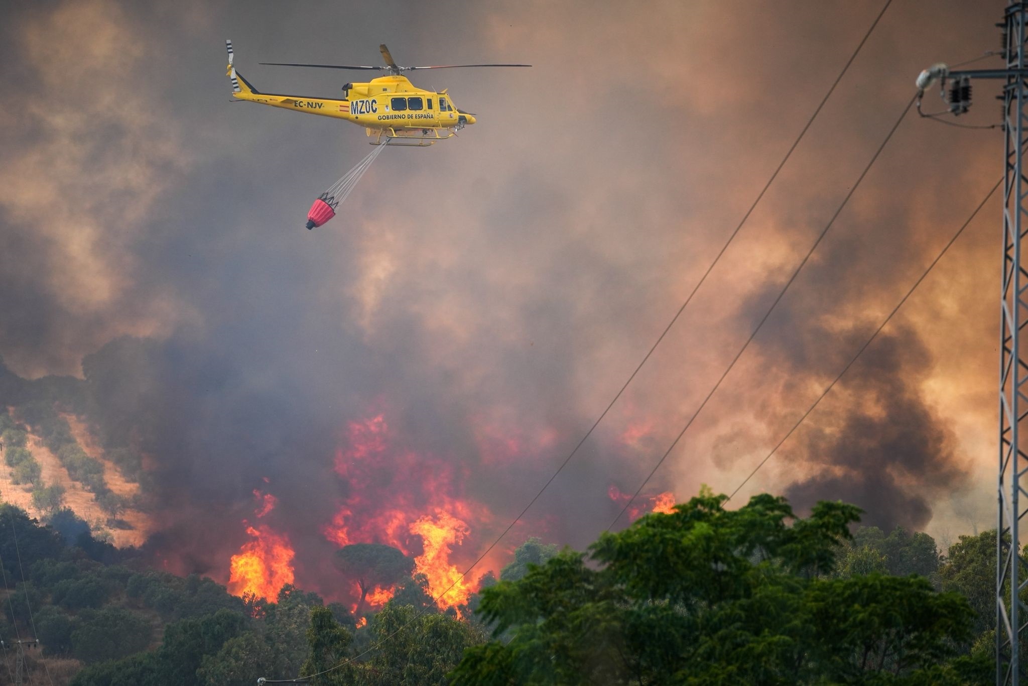 Ingenieros forestales temen incendios el día del eclipse