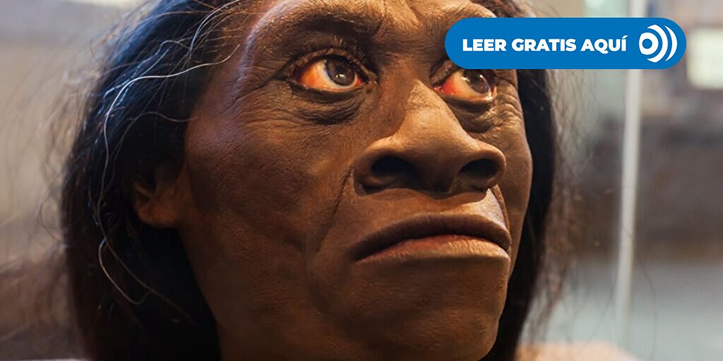 El 'Homo floresiensis' no cazaba ni usaba fuego: era un carroñero de los dragones de Komodo