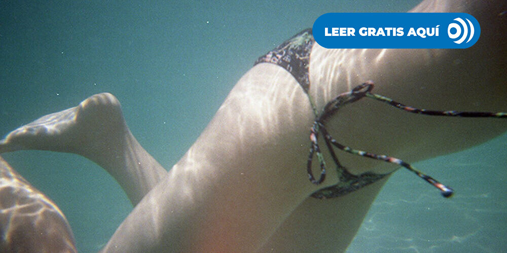 Moluscos y hongos en verano: por qué aparecen más con piscinas y humedad