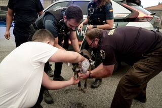 varios-agentes-ayudan-perro-24-julio-2026-fresnedillas-oliva-madrid-espana-280726.jpg